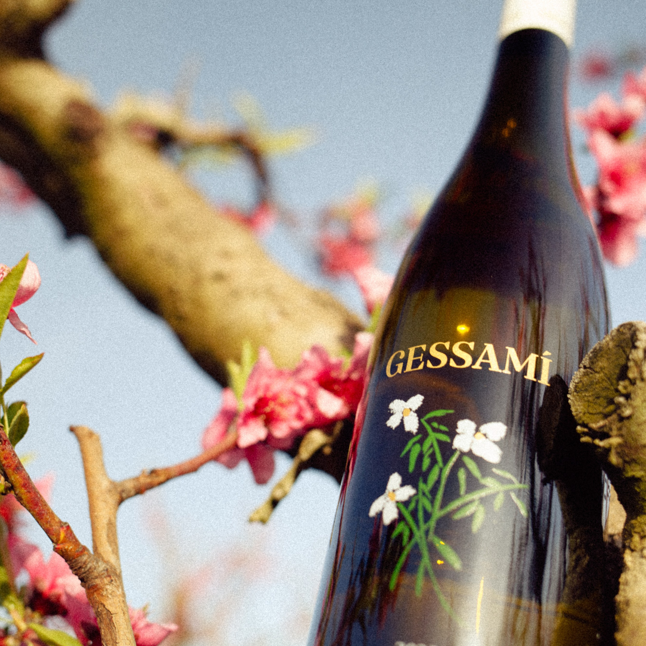 Brand Photography & Visual Content Creation — Marina Kálcheva, Barcelona. Marina Kálcheva — Photographer, Videographer & Visual Artist in Barcelona