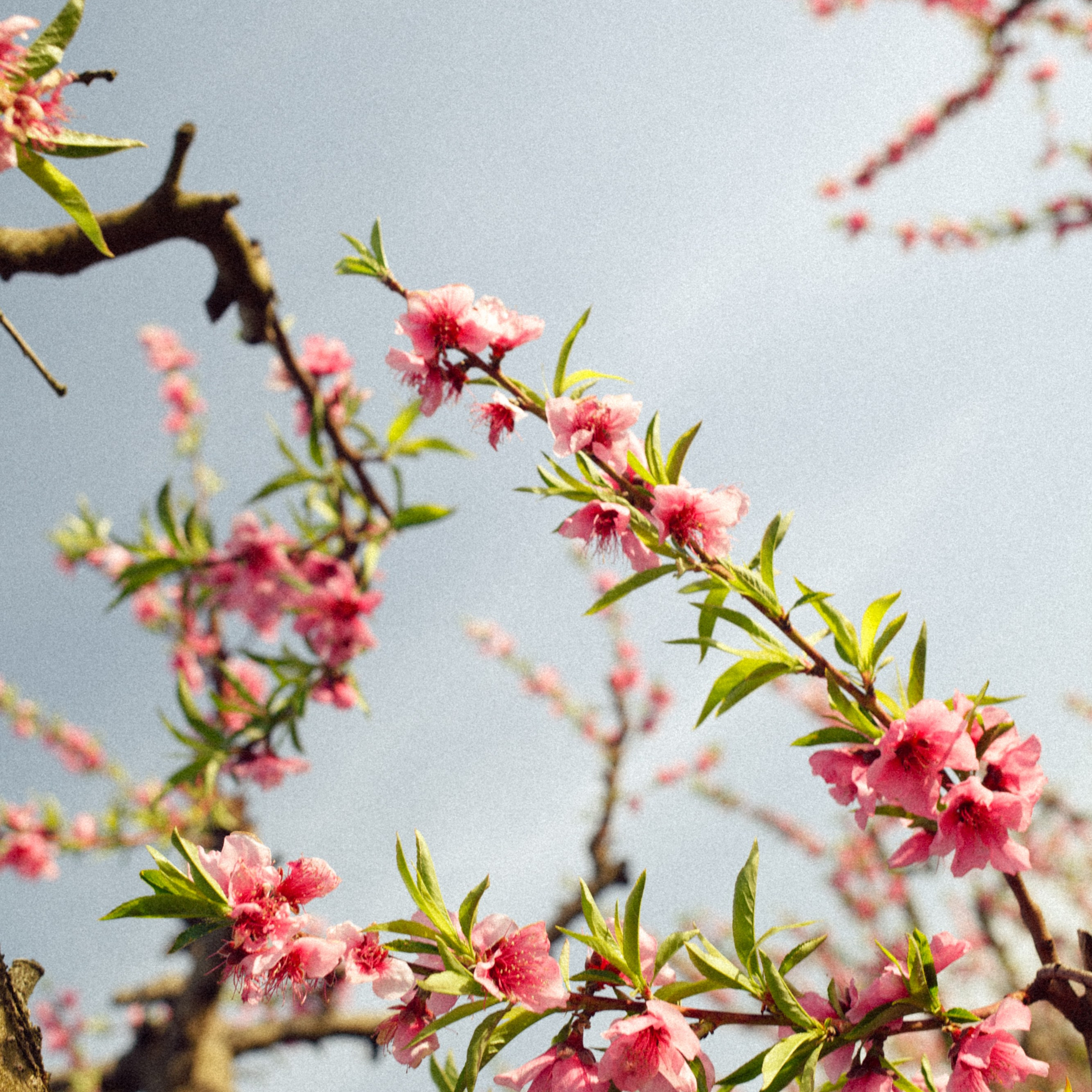 Brand Photography & Visual Content Creation — Marina Kálcheva, Barcelona. Marina Kálcheva — Photographer, Videographer & Visual Artist in Barcelona