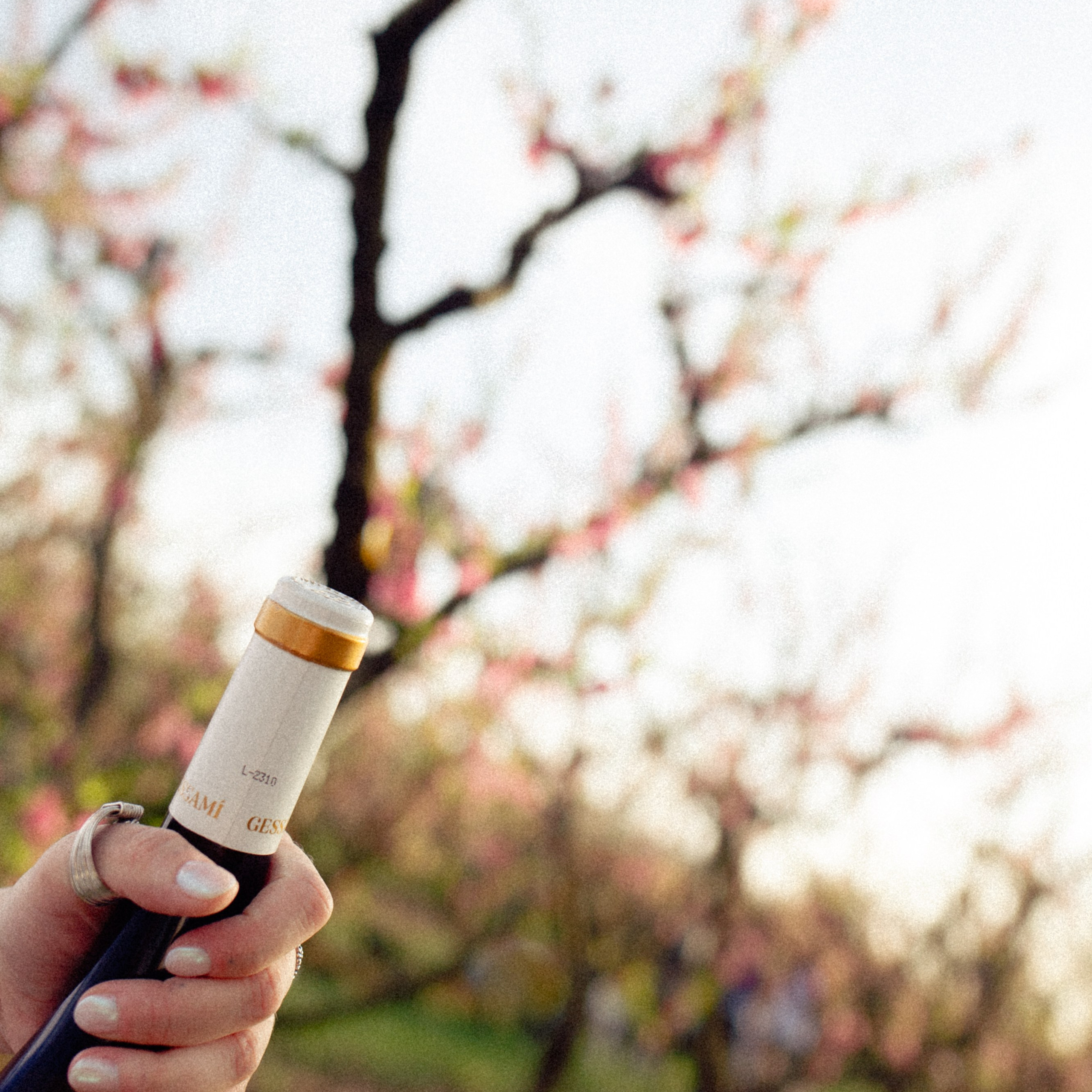 Brand Photography & Visual Content Creation — Marina Kálcheva, Barcelona. Marina Kálcheva — Photographer, Videographer & Visual Artist in Barcelona