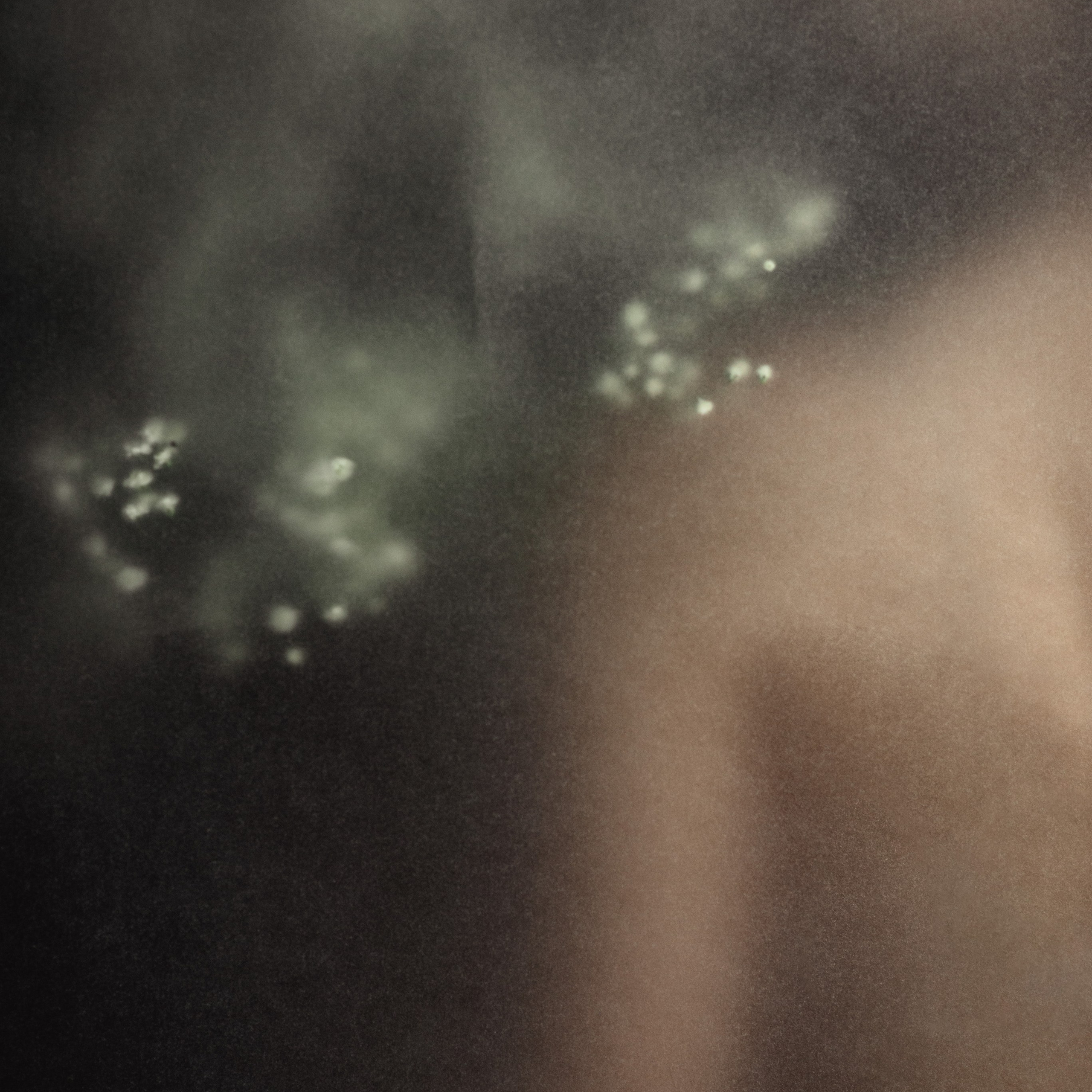 Portfolio. Katerina Sheveleva | Fashion | Photography & Direction | Antwerpen | België