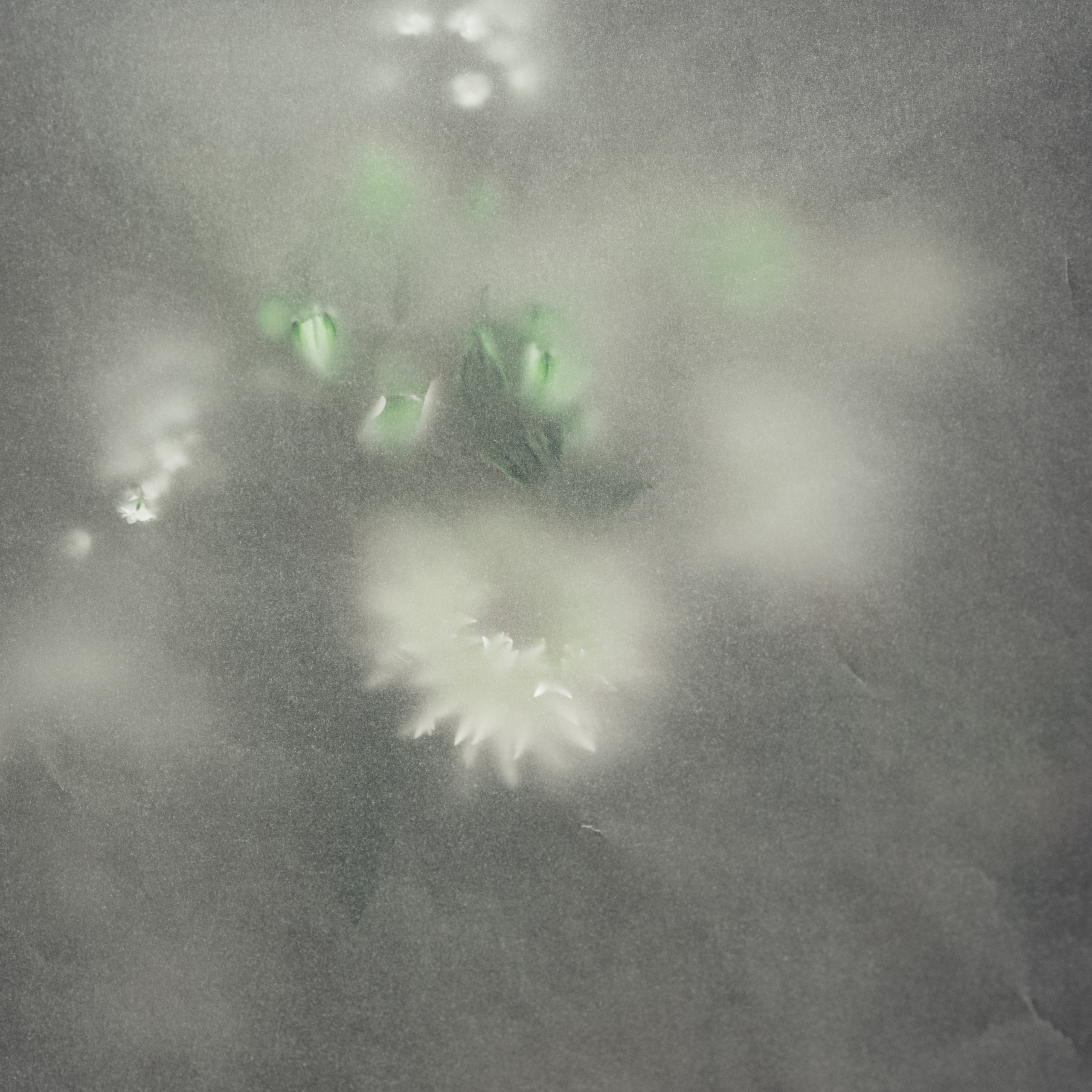 Portfolio. Katerina Sheveleva | Fashion | Photography & Direction | Antwerpen | België