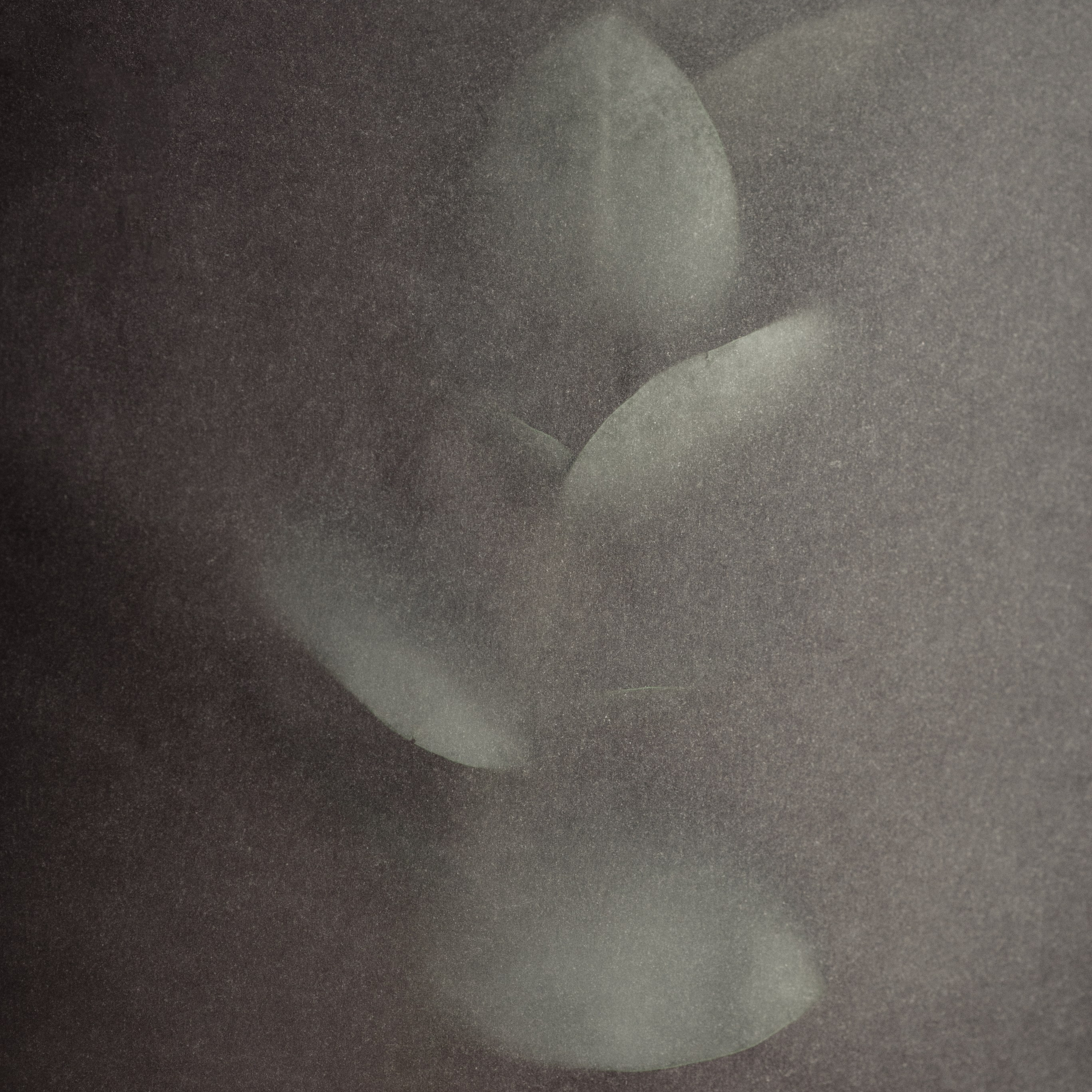 Portfolio. Katerina Sheveleva | Fashion | Photography & Direction | Antwerpen | België