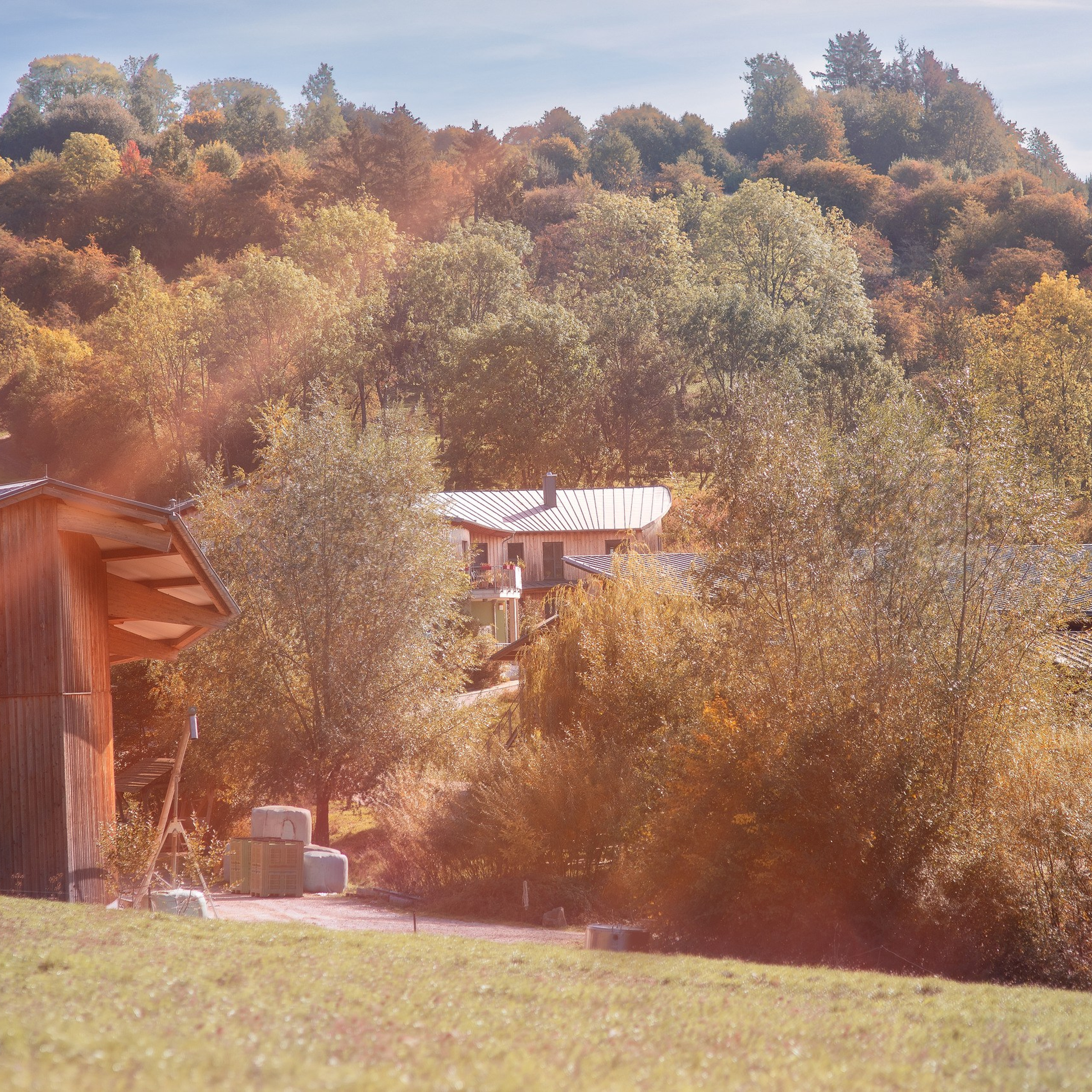 Témoignages. Fine Art photographer in Luxembourg Anastasia Arend