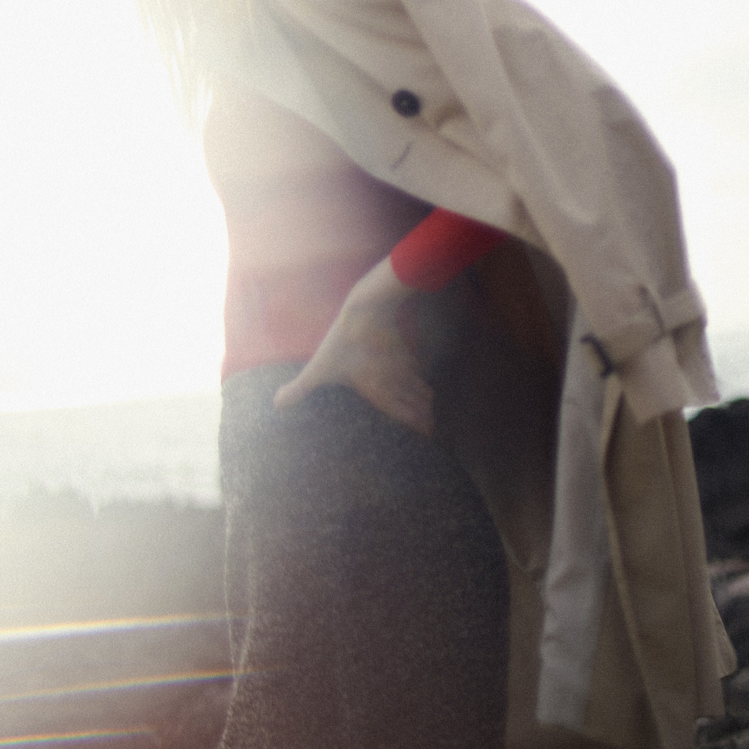 Fashion photo of a woman in a beige trench coat in artistic blurred and mysterious light