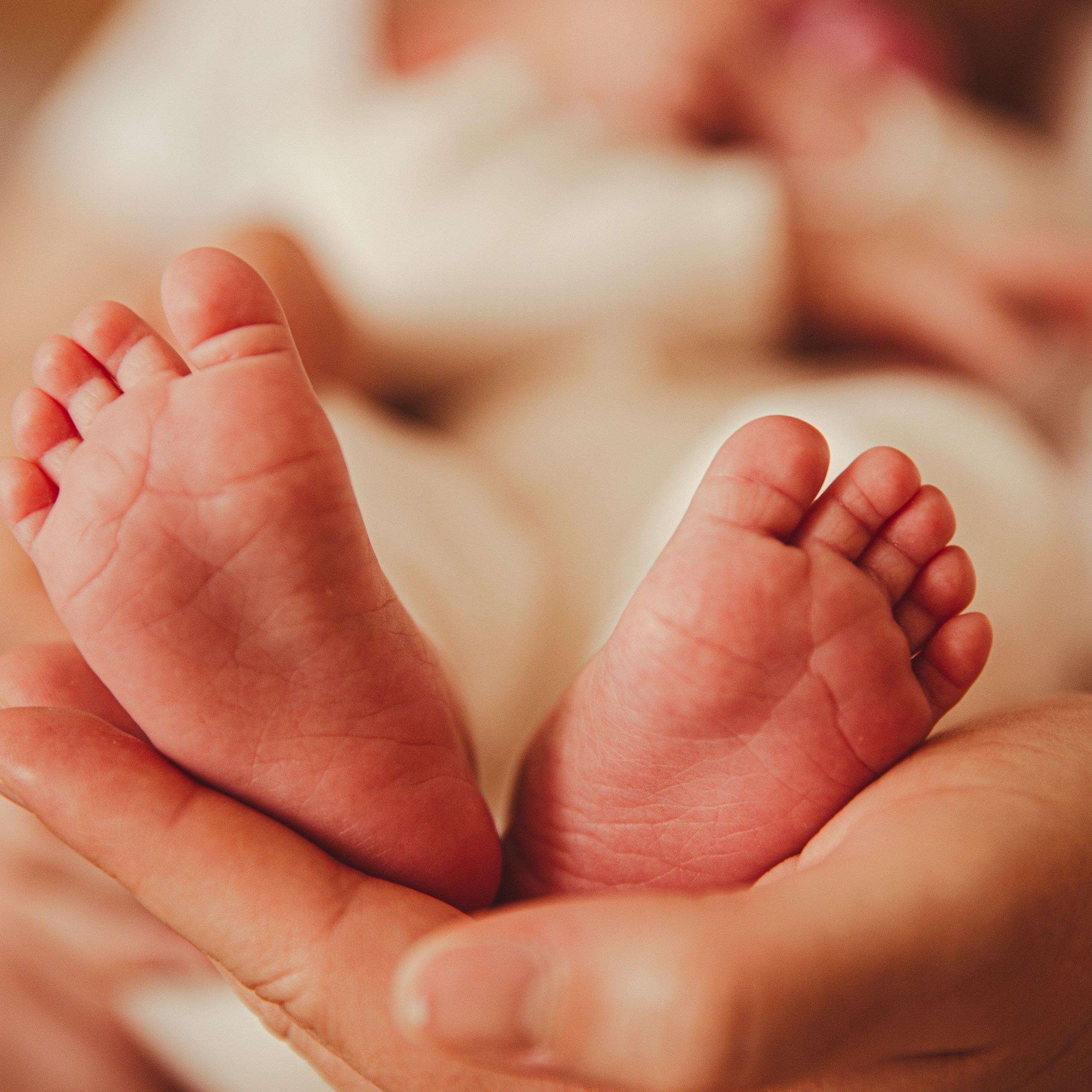 Reviews. Family Photographer in Prague Nigina Fattakh