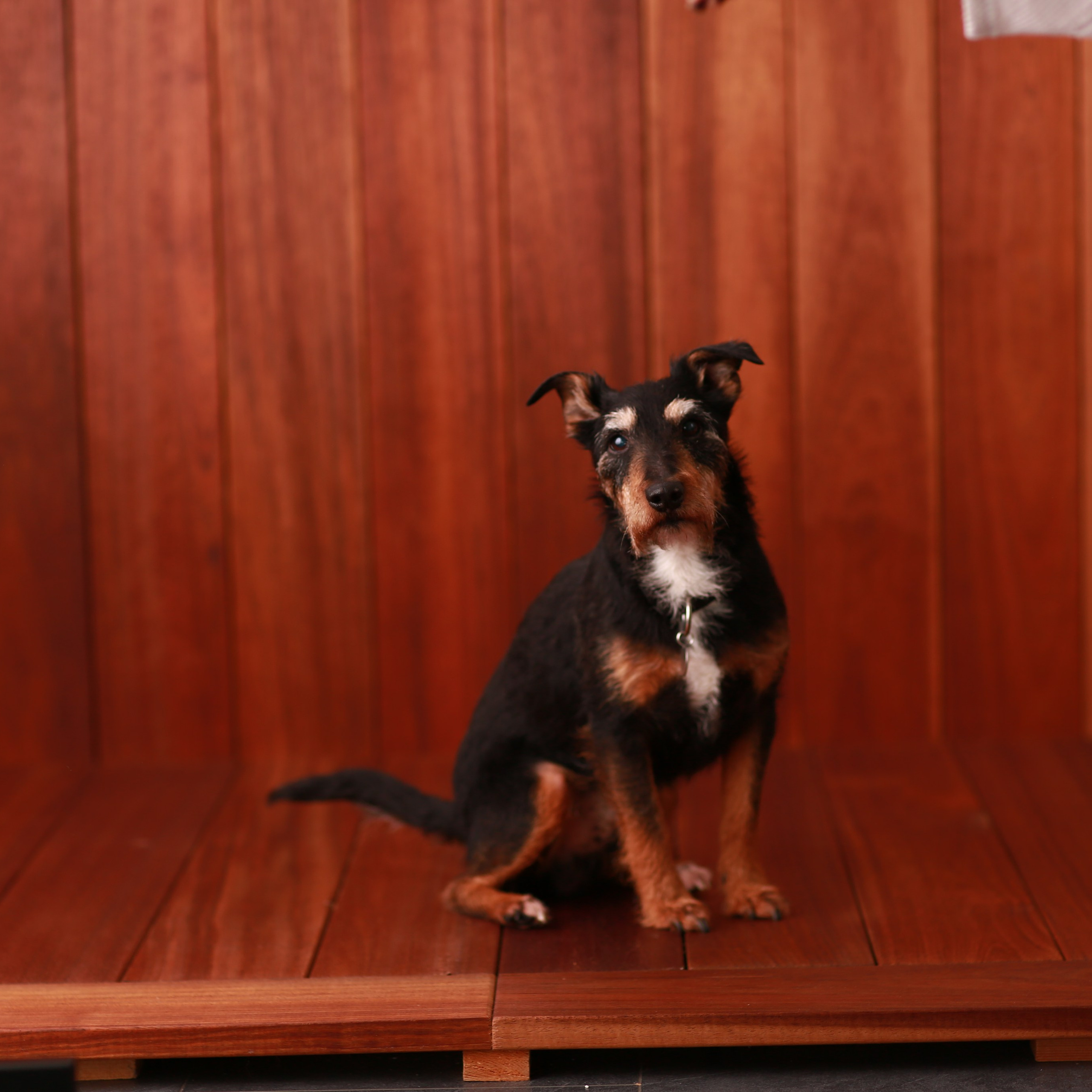 Referenzen. Neugeborenen, Familien, Geschwister Fotografin aus Delmenhorst