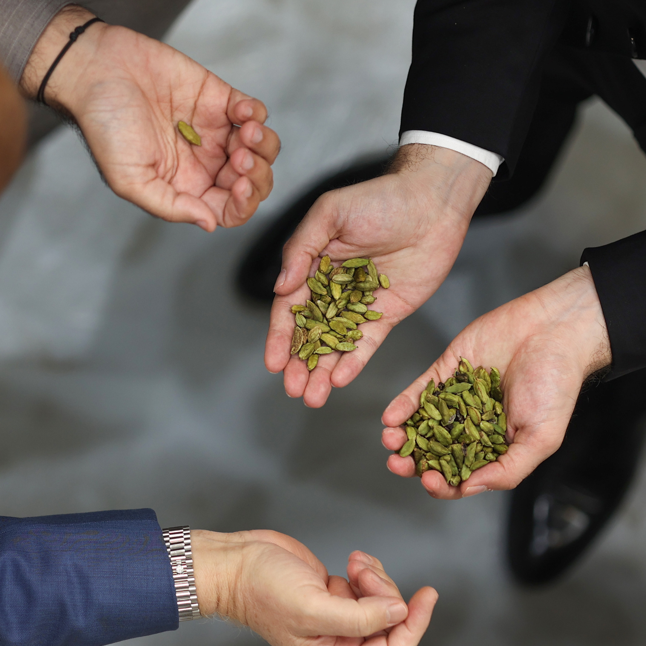 Reviews Venice Photographer. Photographer in Venice, Viktoria Antonova