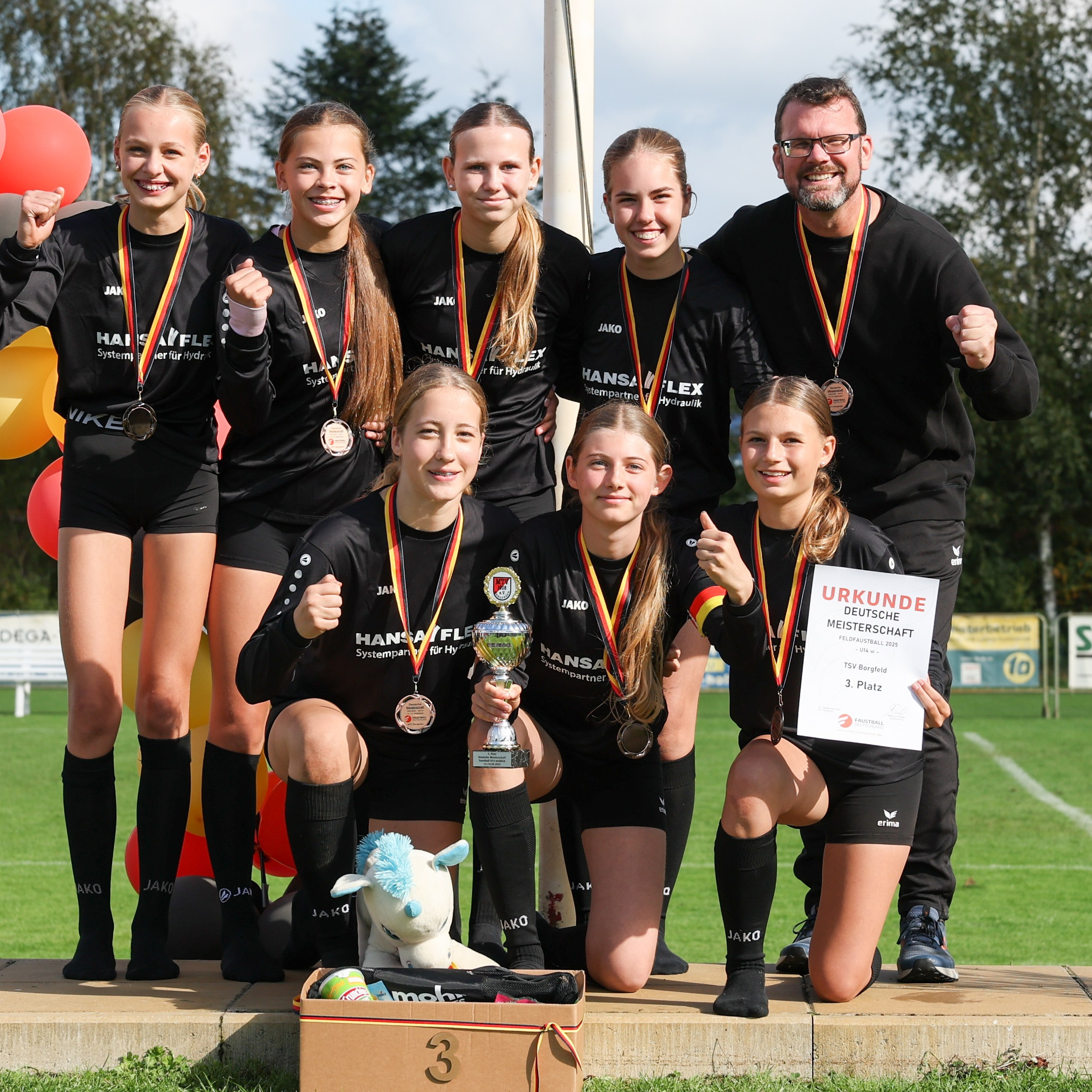 Aktuelles. TSV Borgfeld Faustball