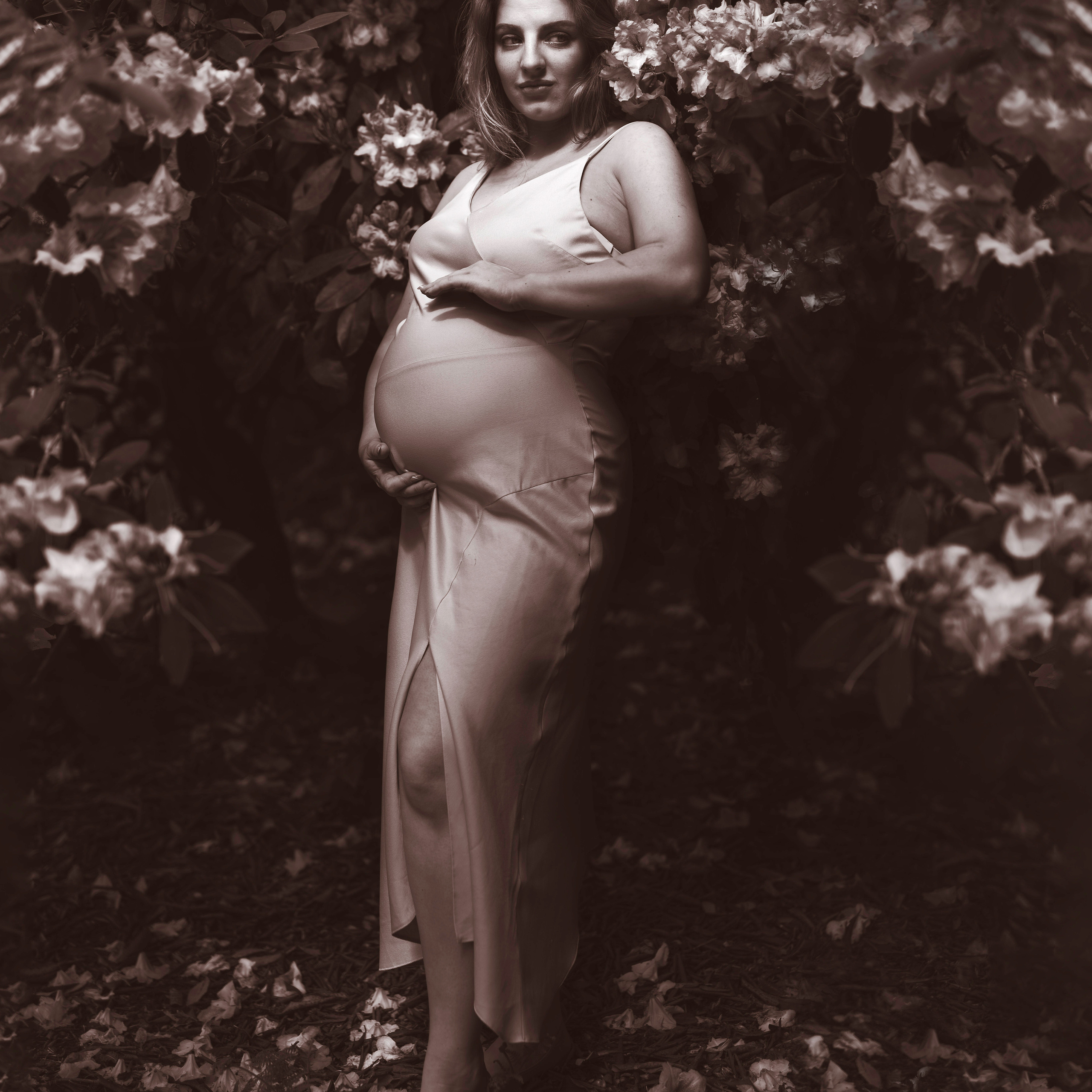 The soft sunlight filters through the rhododendron leaves, creating a magical atmosphere.