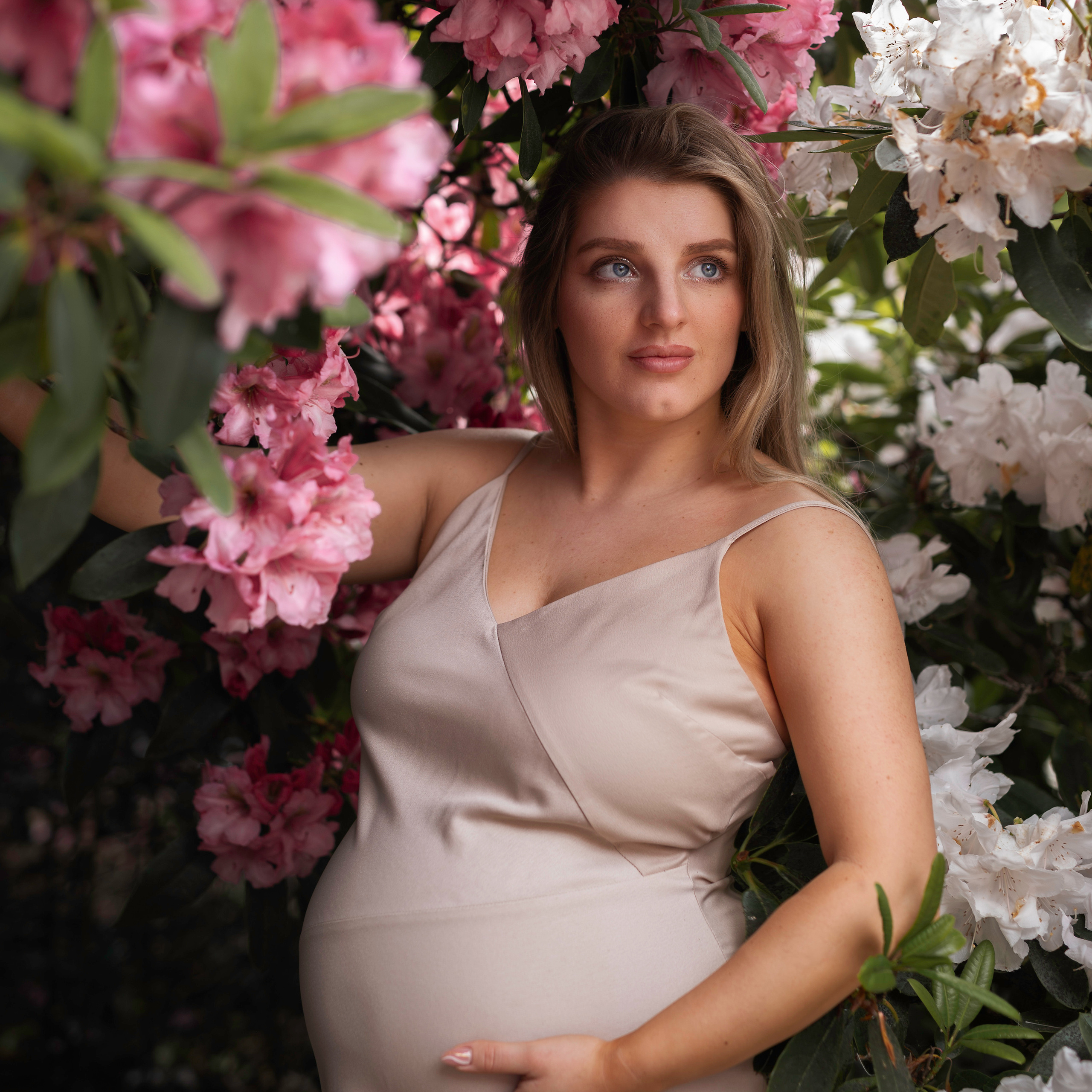 A breathtaking landscape shot of Yorkshire's Moors, captured from amongst the vibrant rhododendron bushes in full bloom.