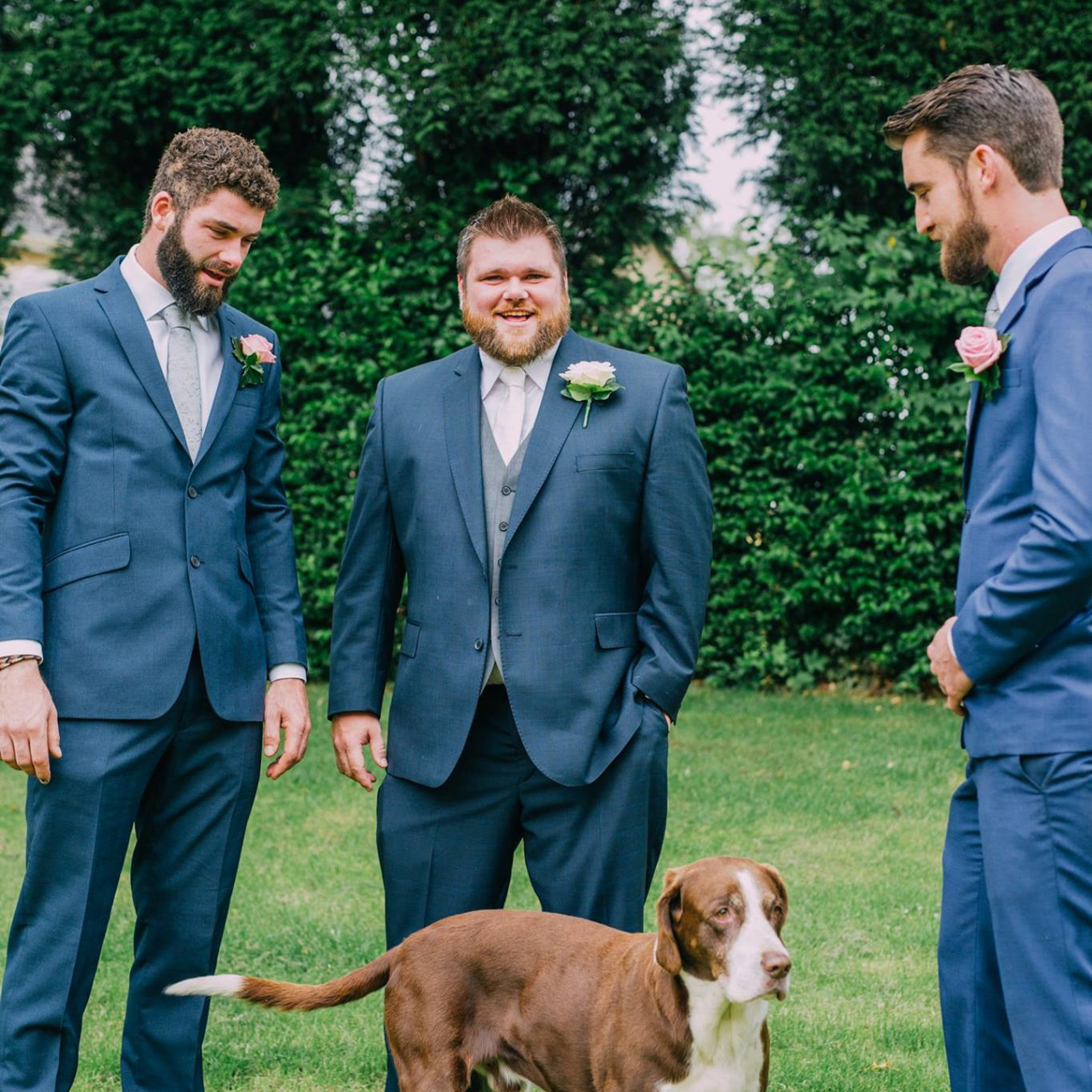 dog wedding ceremony