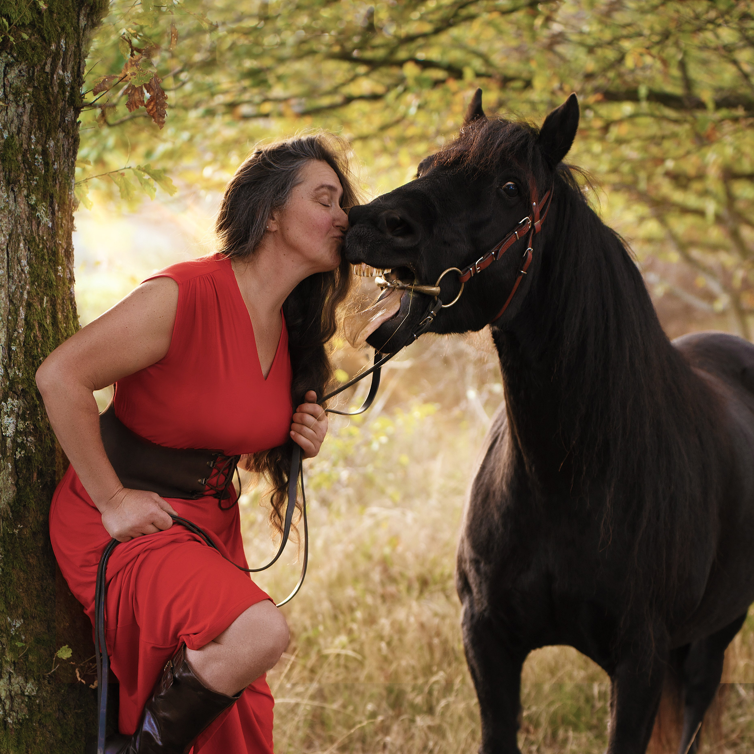 Geschichten mit dem Pferden