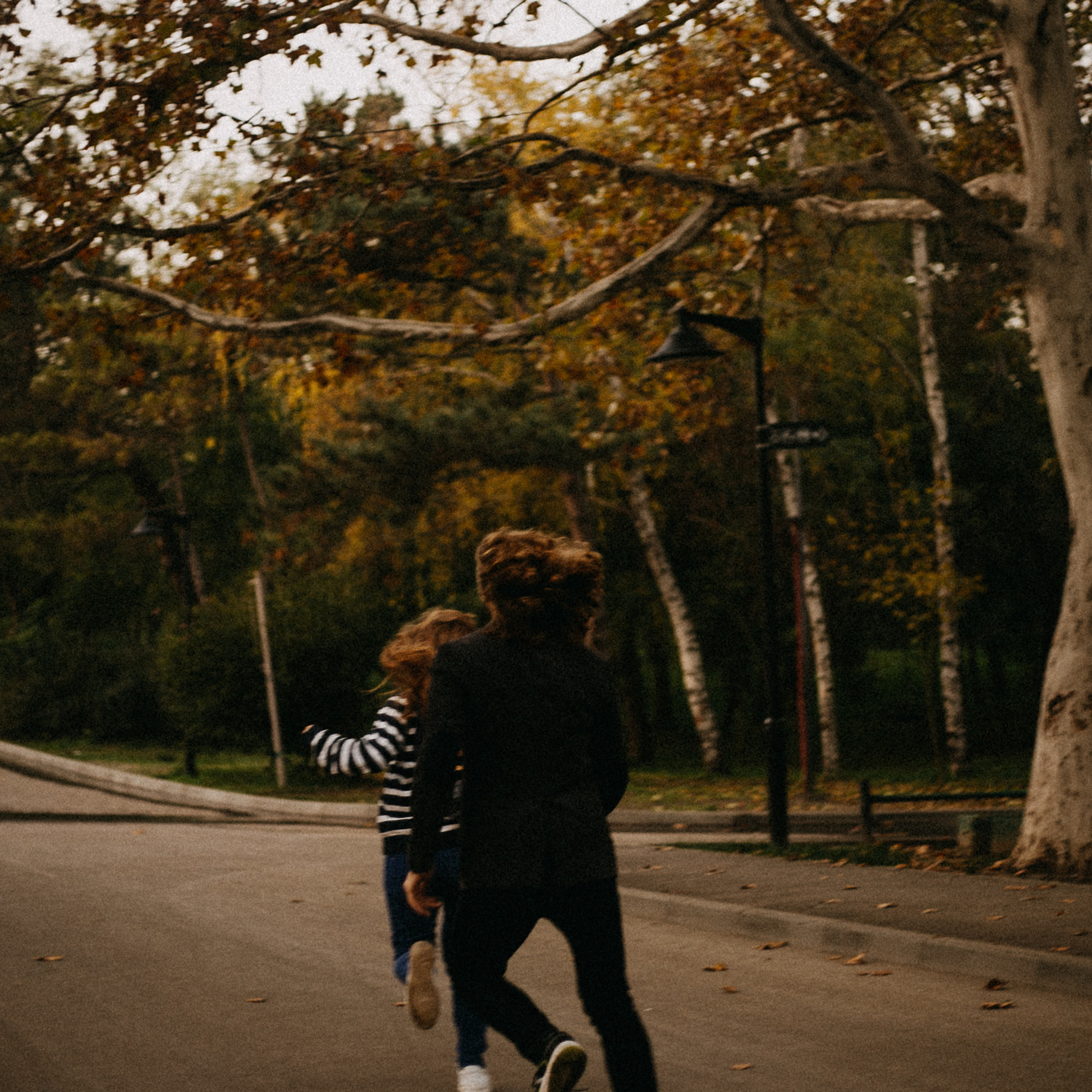 .feedback | отзывы