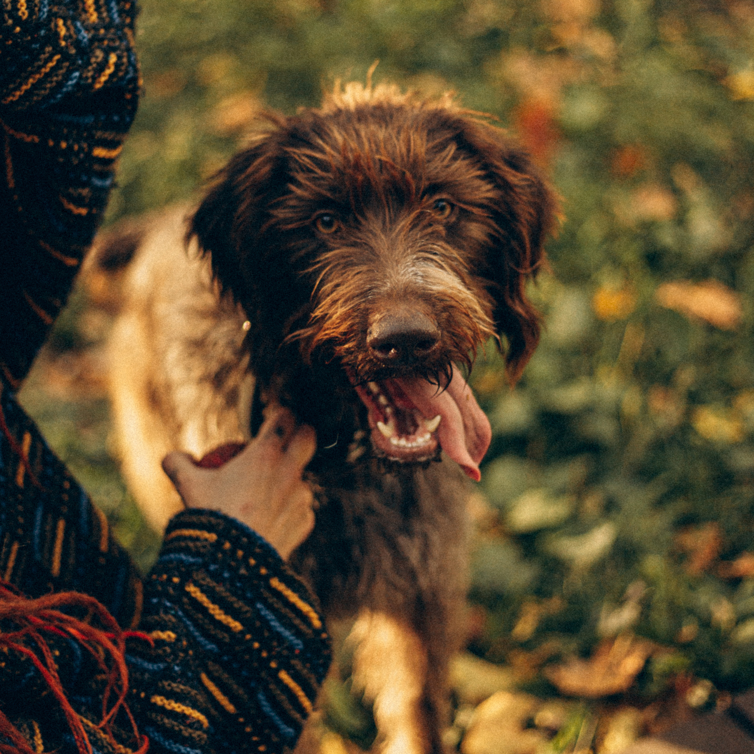 .feedback | отзывы