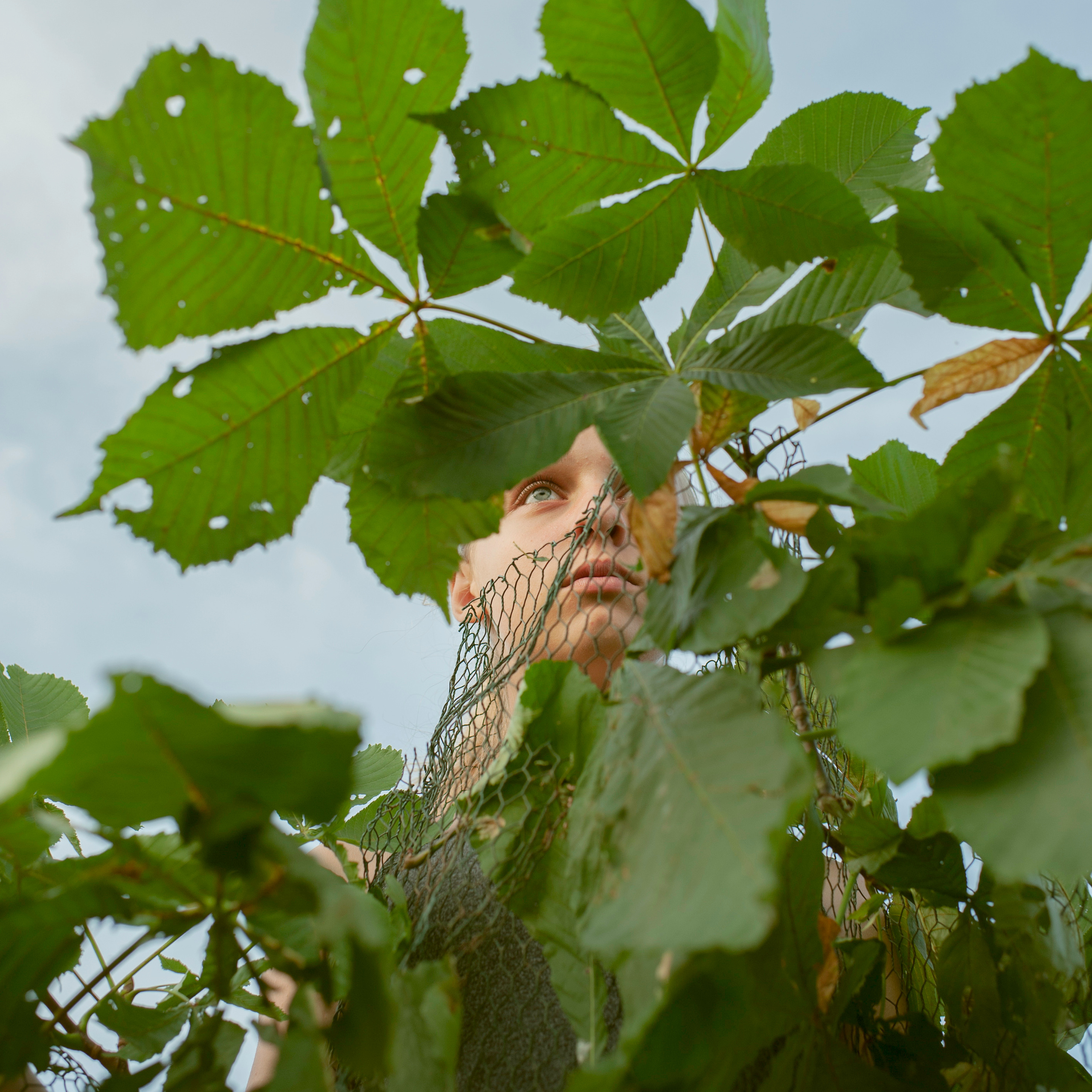 COMMUNITY OF TREES