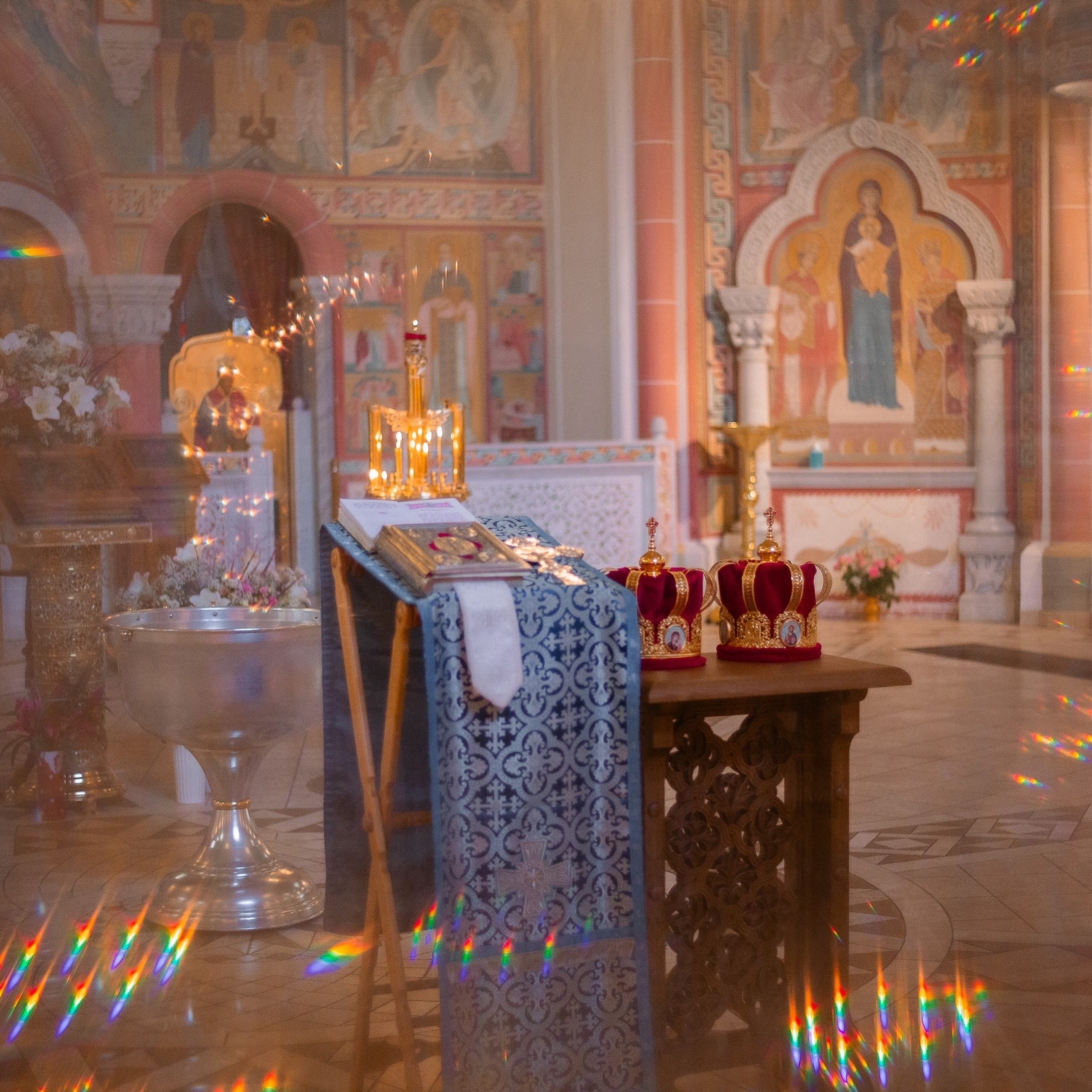 Bewertungen. Fotografin Hamburg Reinbek Elizaveta Romanova