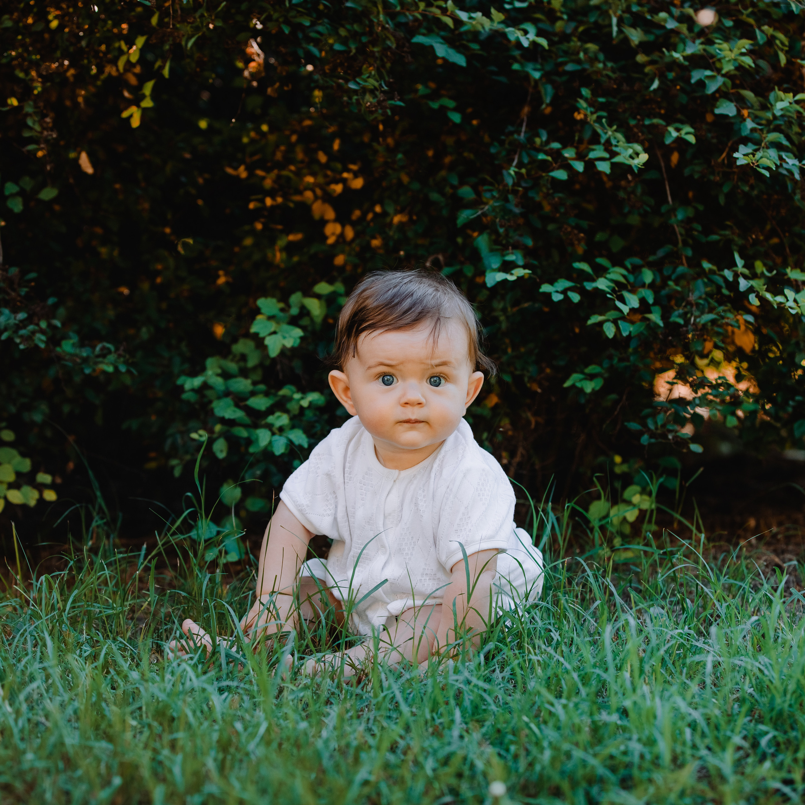 FEEDBACK. Wedding photographer and videographer