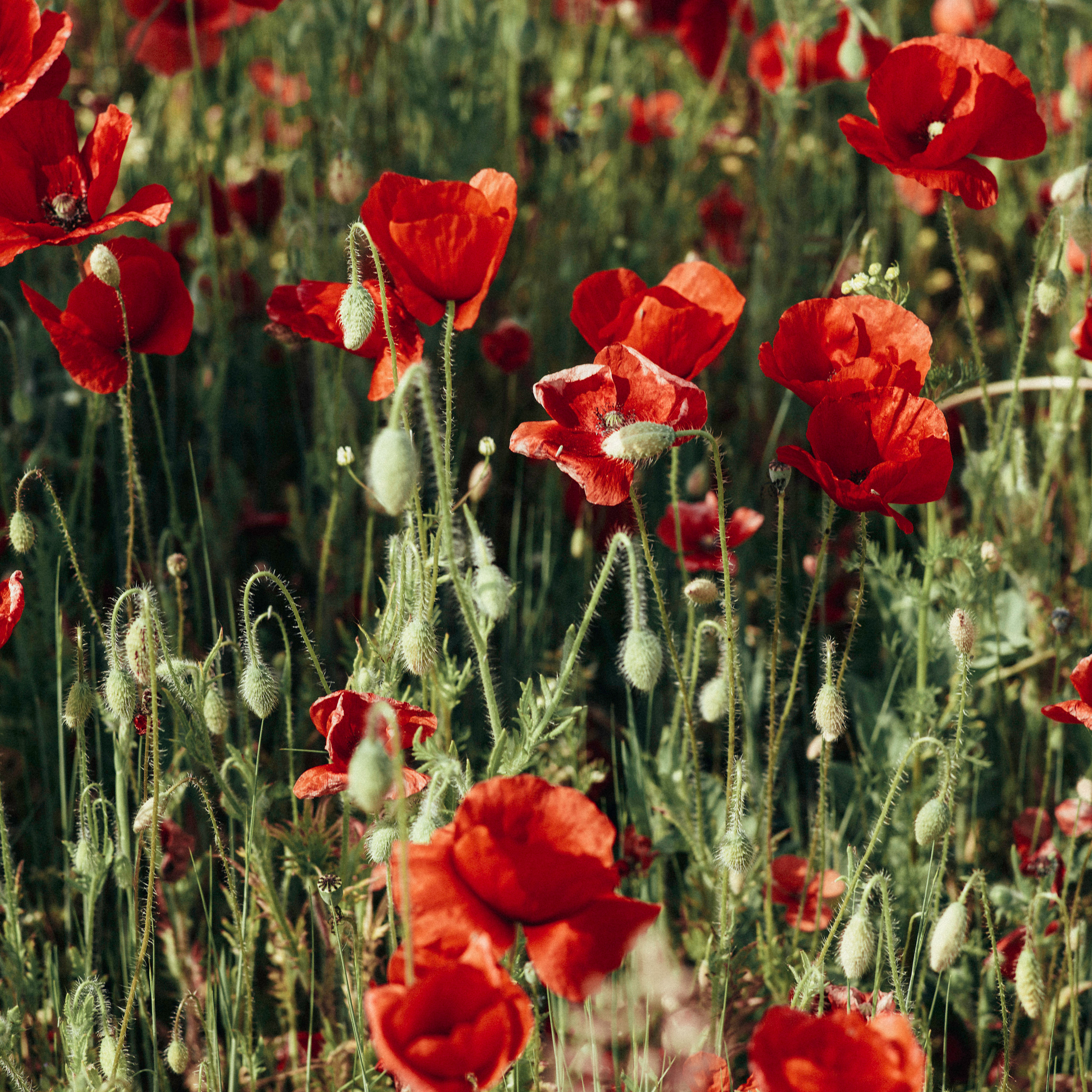 GS SS 2023. Aura Studio / co-design space