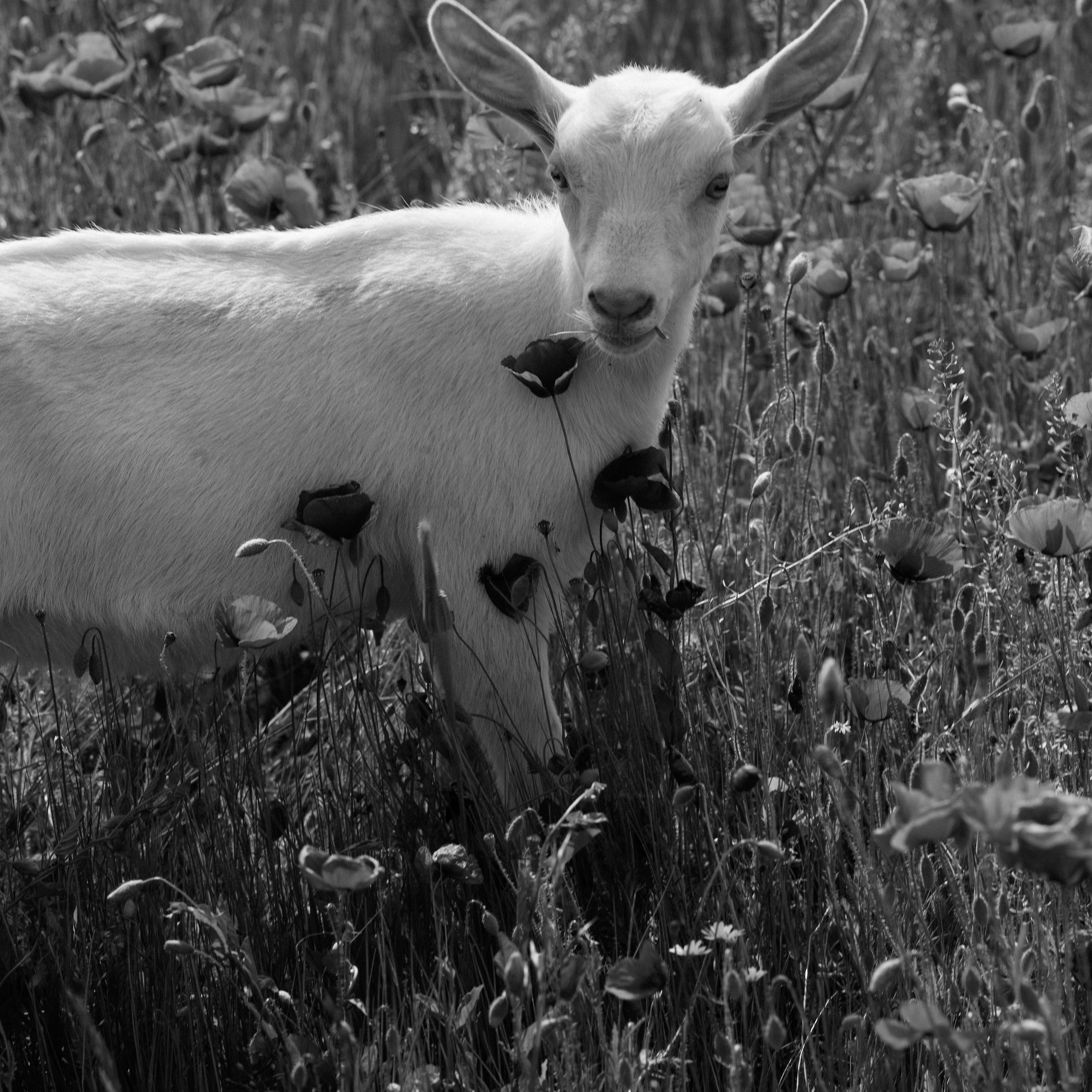 GS SS 2023. Aura Studio / co-design space