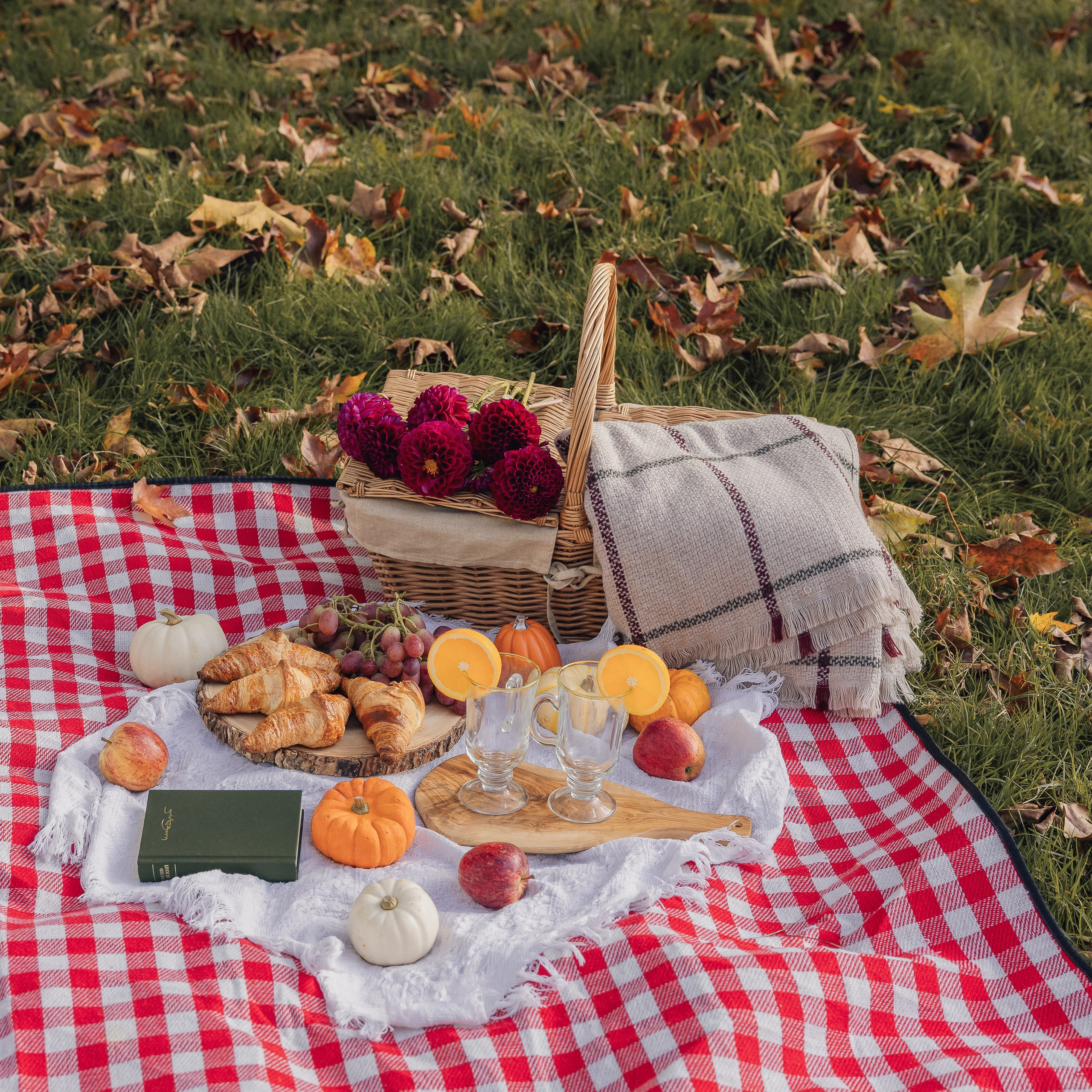 Family autumnal session