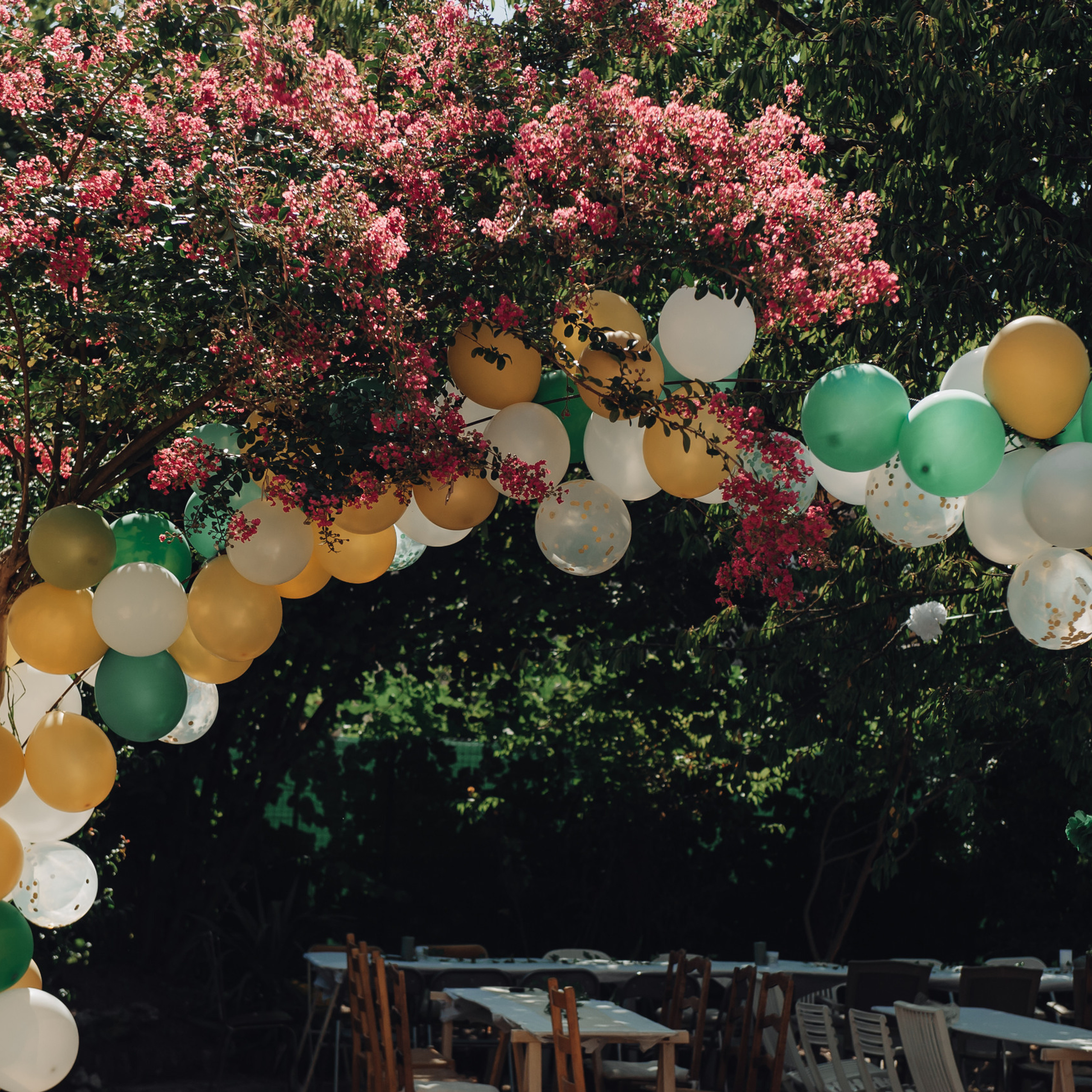 Reviews. Wedding Photographer Paris|Franta