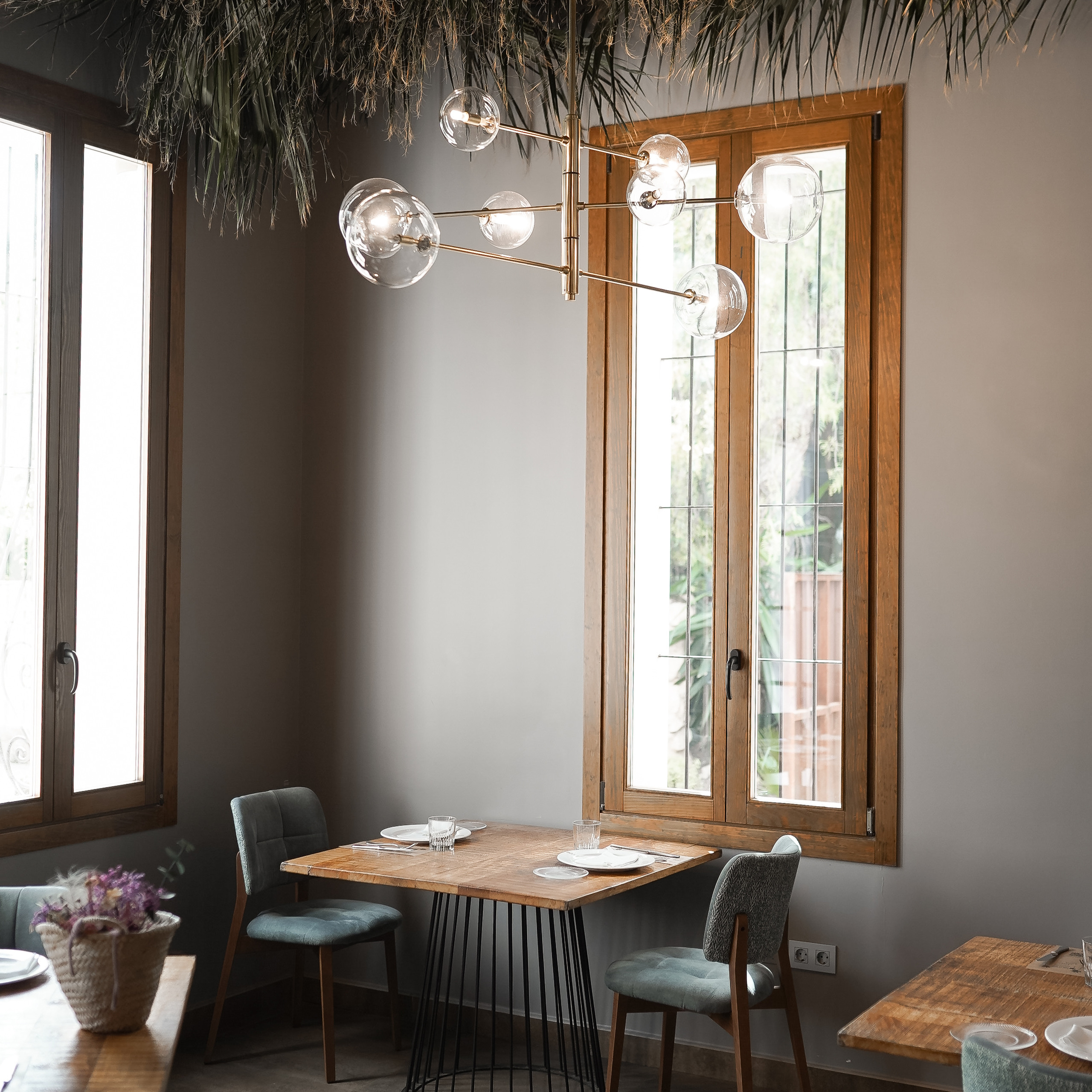 Apertura de WBC S en Alicante. Volver a oranjazz.com