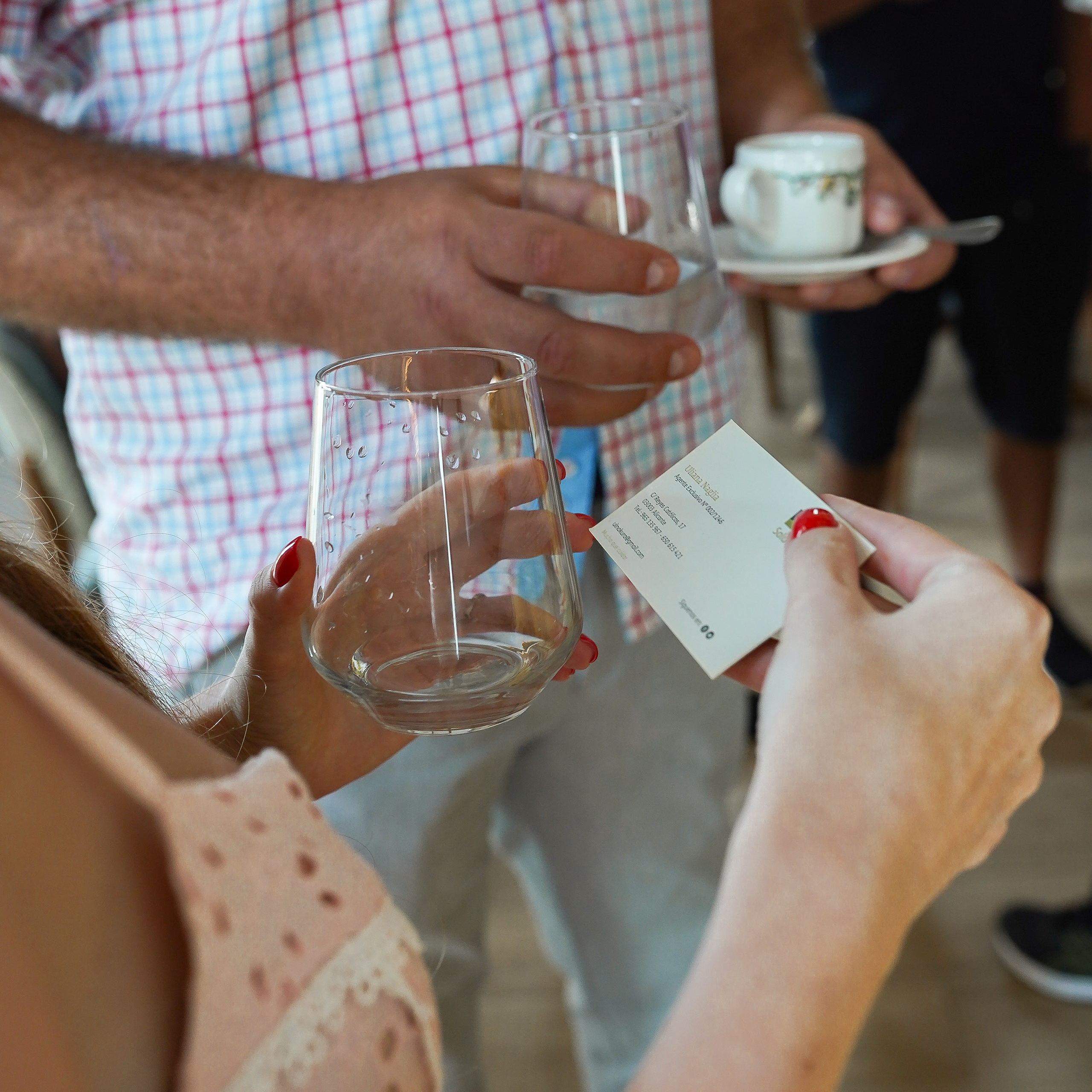 Apertura de WBC S en Alicante. Volver a oranjazz.com