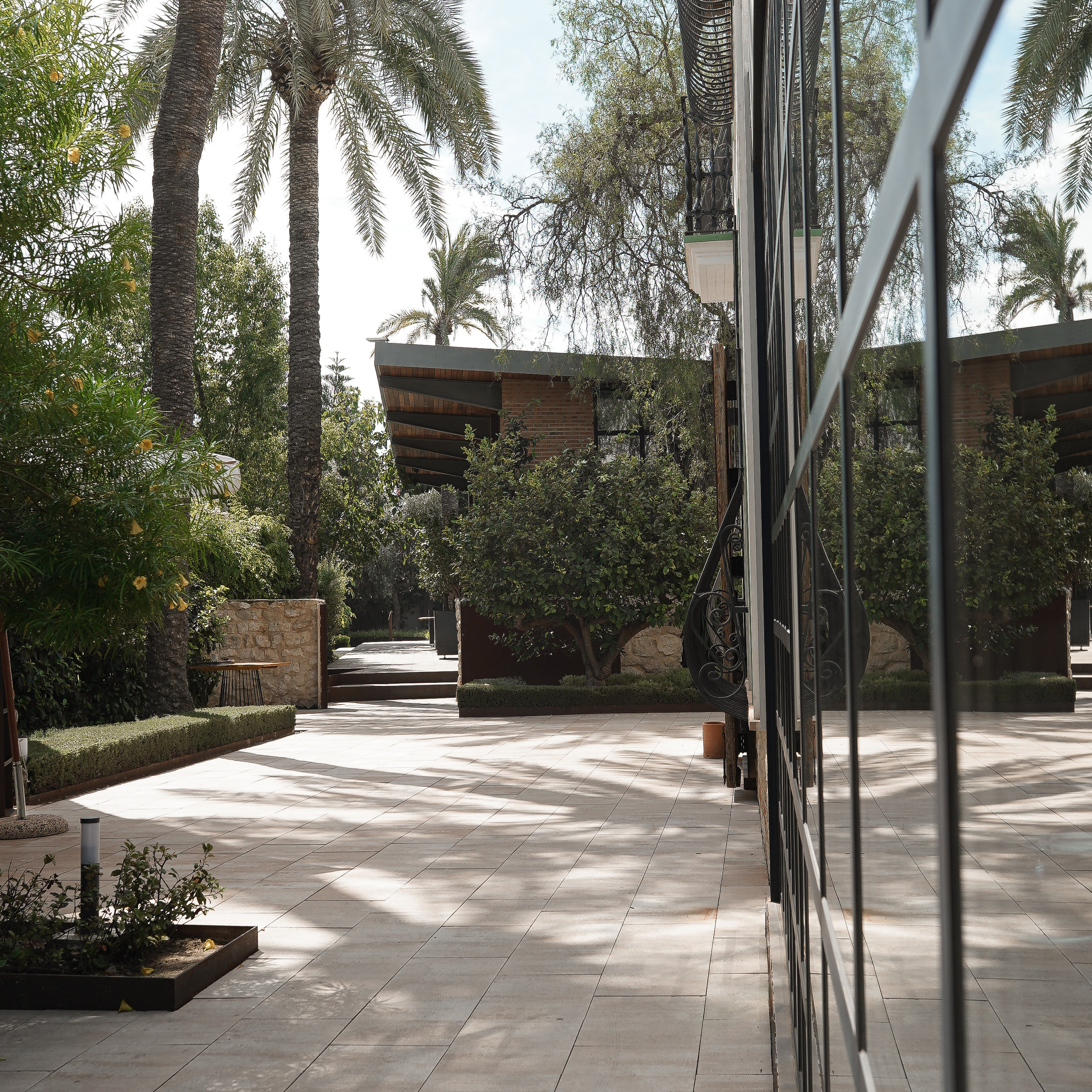 Apertura de WBC S en Alicante. Volver a oranjazz.com