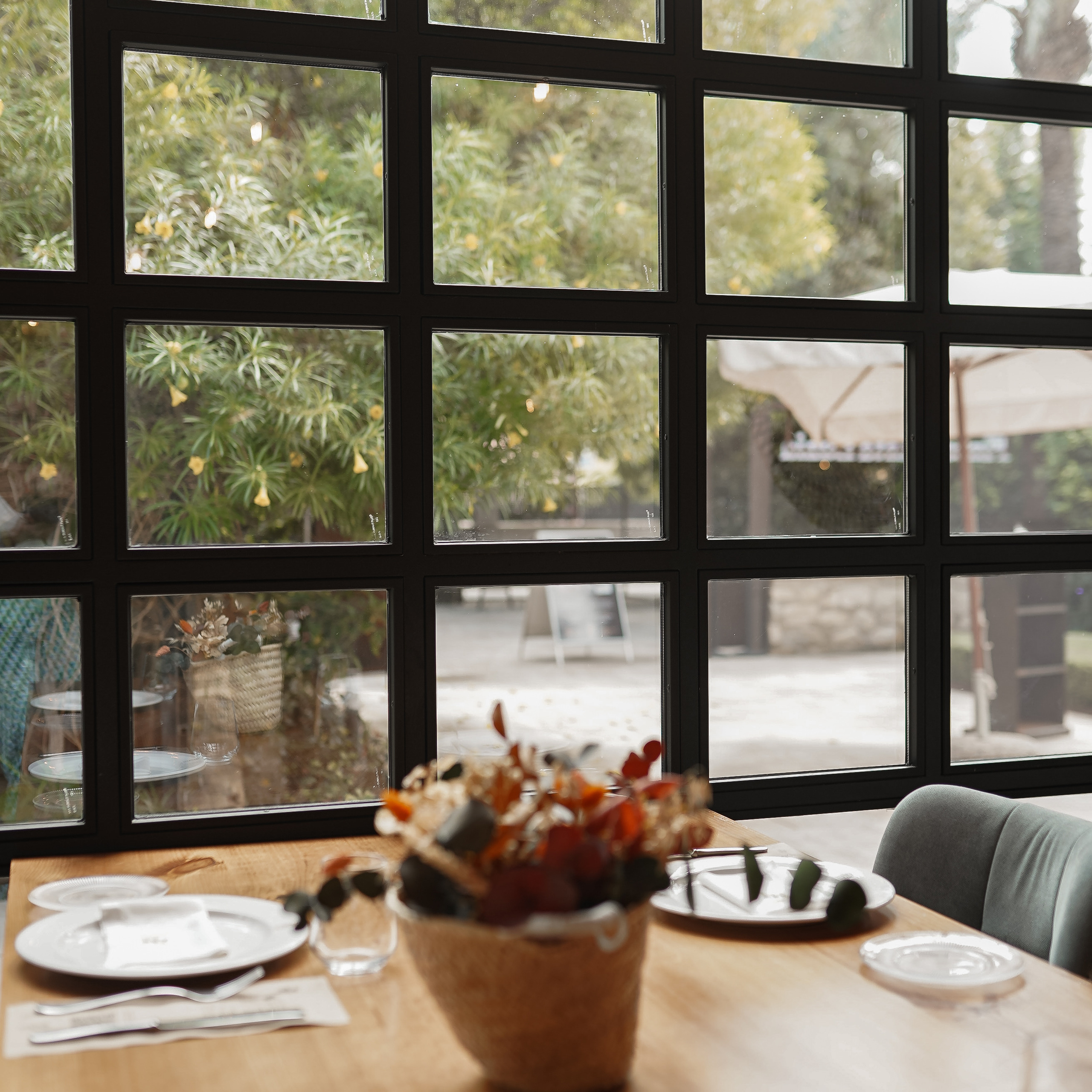 Apertura de WBC S en Alicante. Volver a oranjazz.com