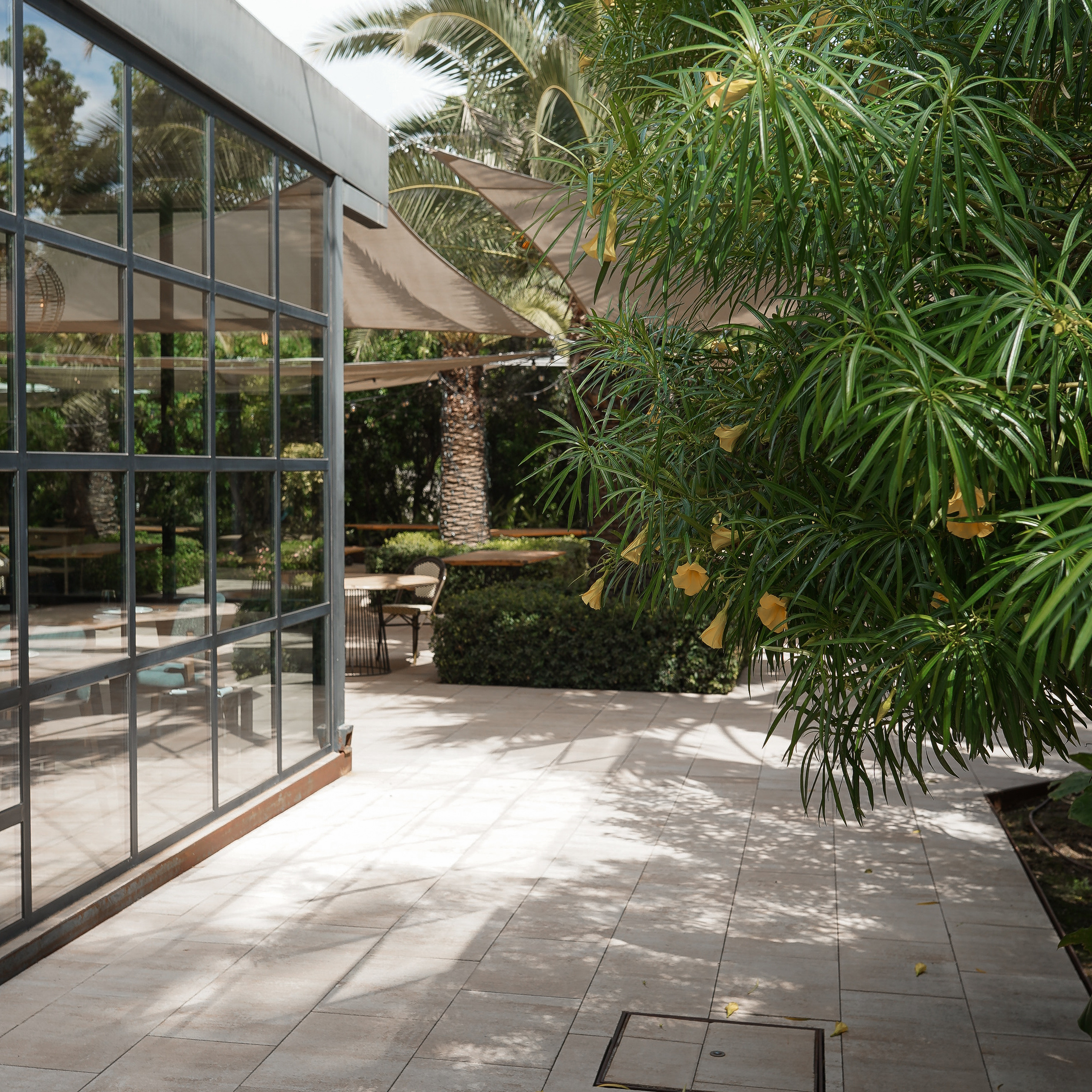 Apertura de WBC S en Alicante. Volver a oranjazz.com