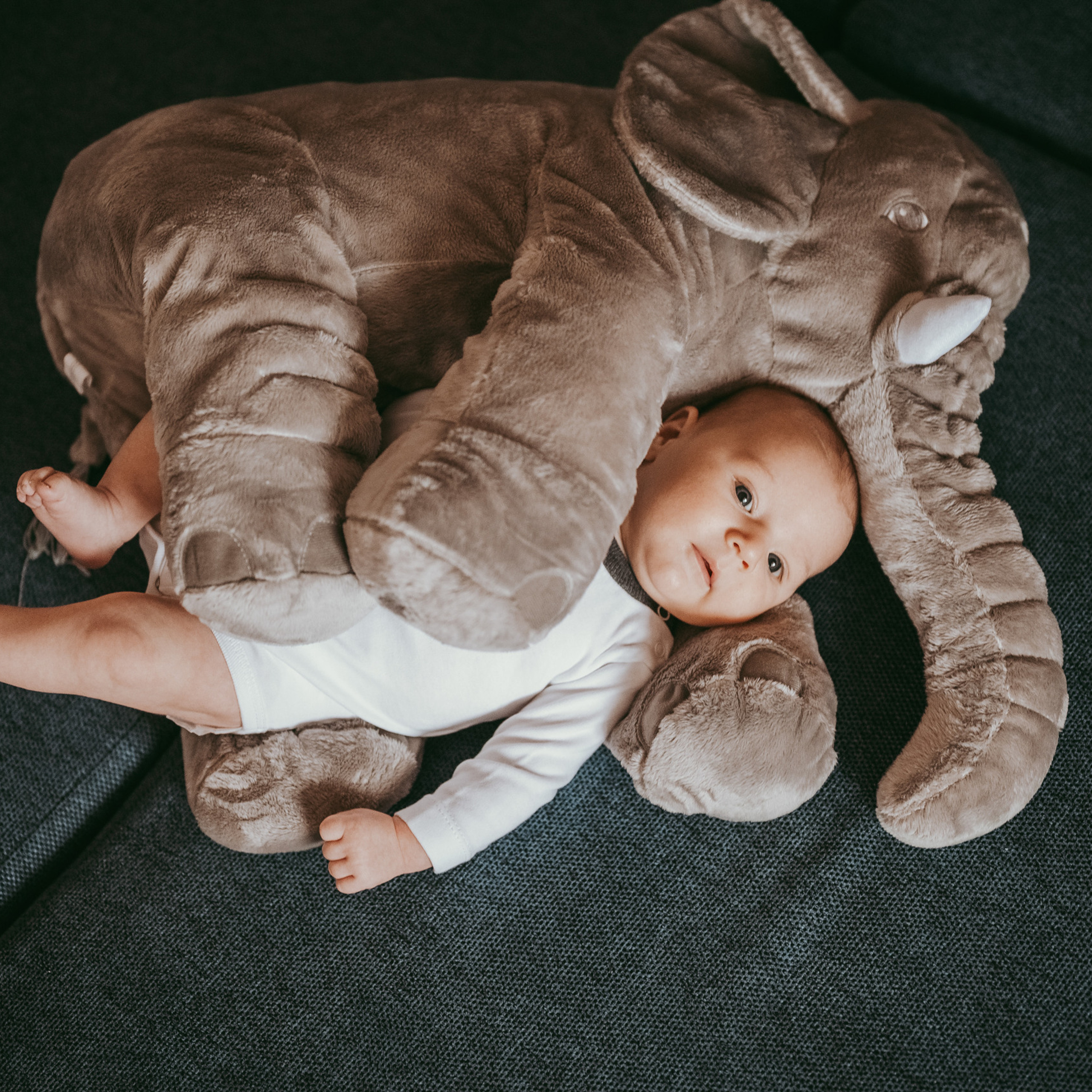 Vaši utisci. Deciji i porodicni fotograf u Beogradu Oksana Skendzic