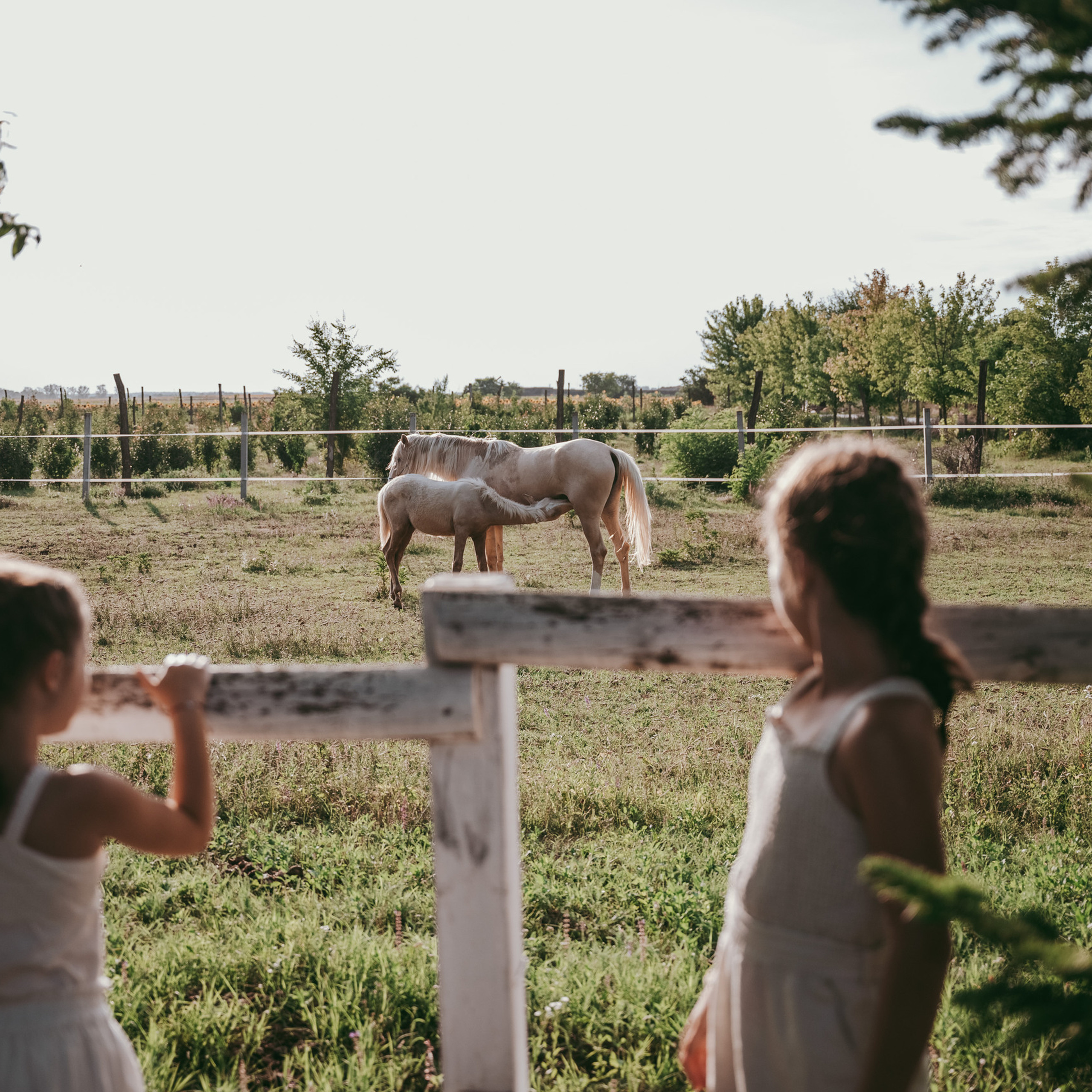 Vaši utisci. Deciji i porodicni fotograf u Beogradu Oksana Skendzic