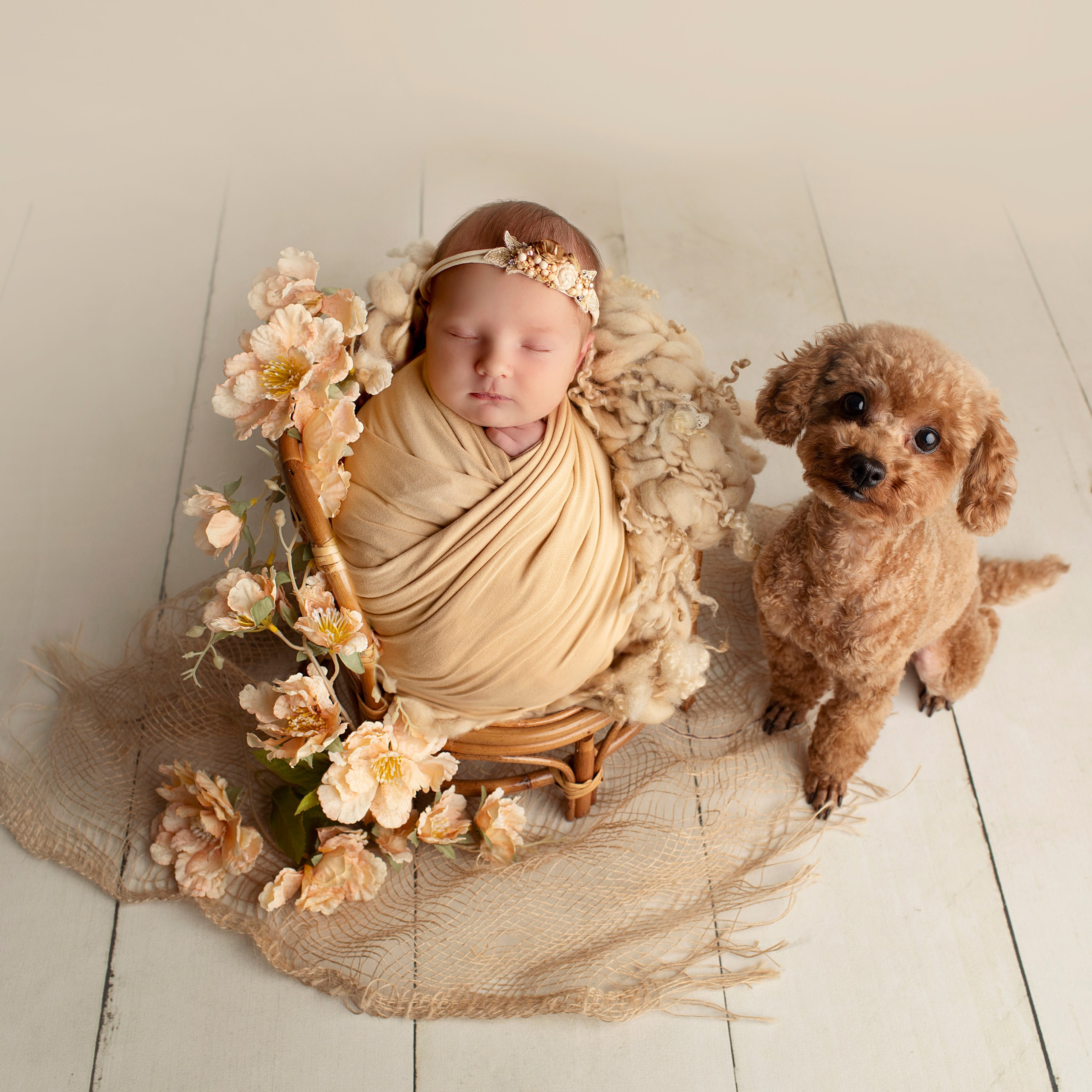 "Nyfödda barn som ligger tillsammans i en mjuk filt. Bilden visar deras söta ansikten och små händer, perfekt för att illustrera nyfödda fotograferingar och babyfotografi."