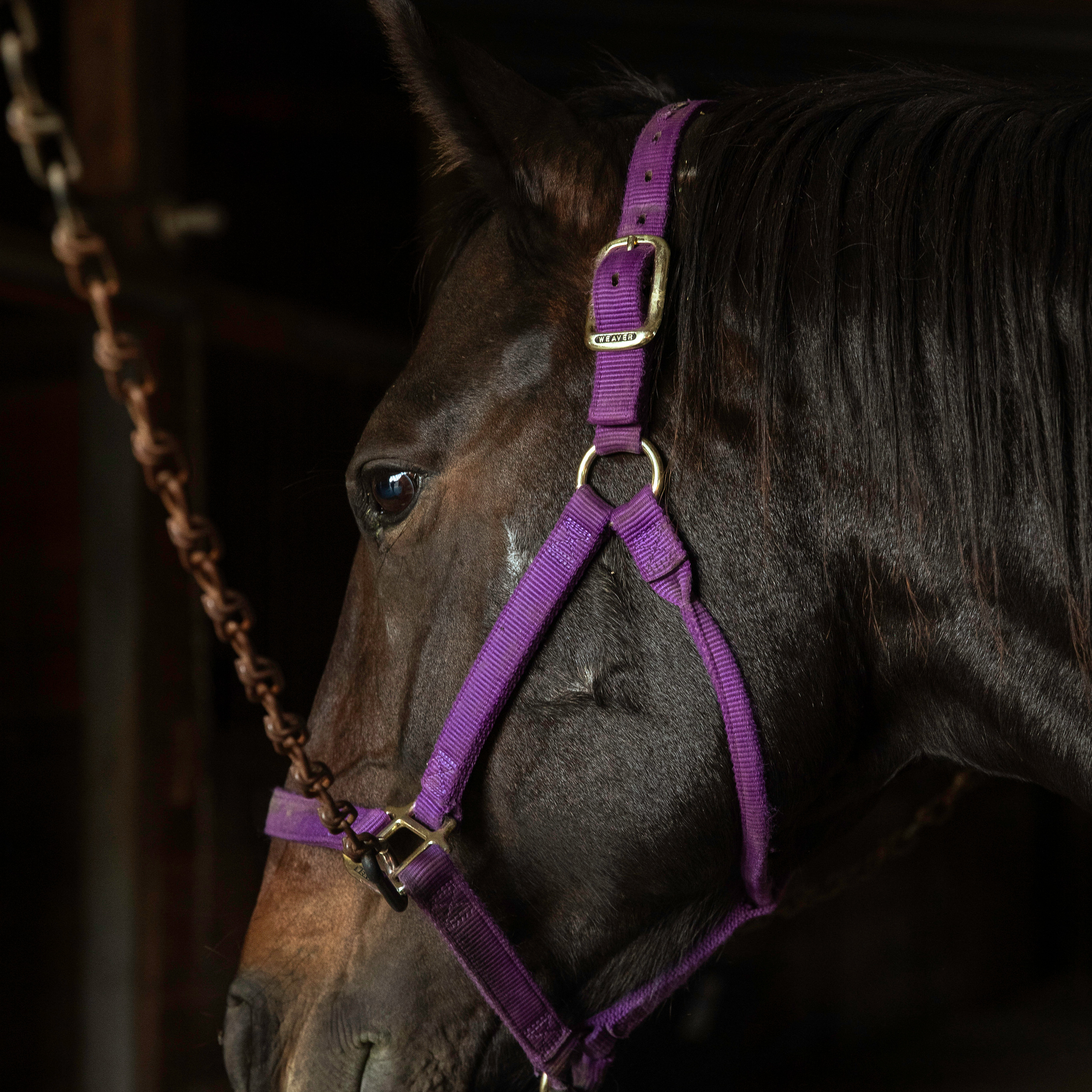 Reviews. Wedding photography and videography in Regina, Saskatchewan