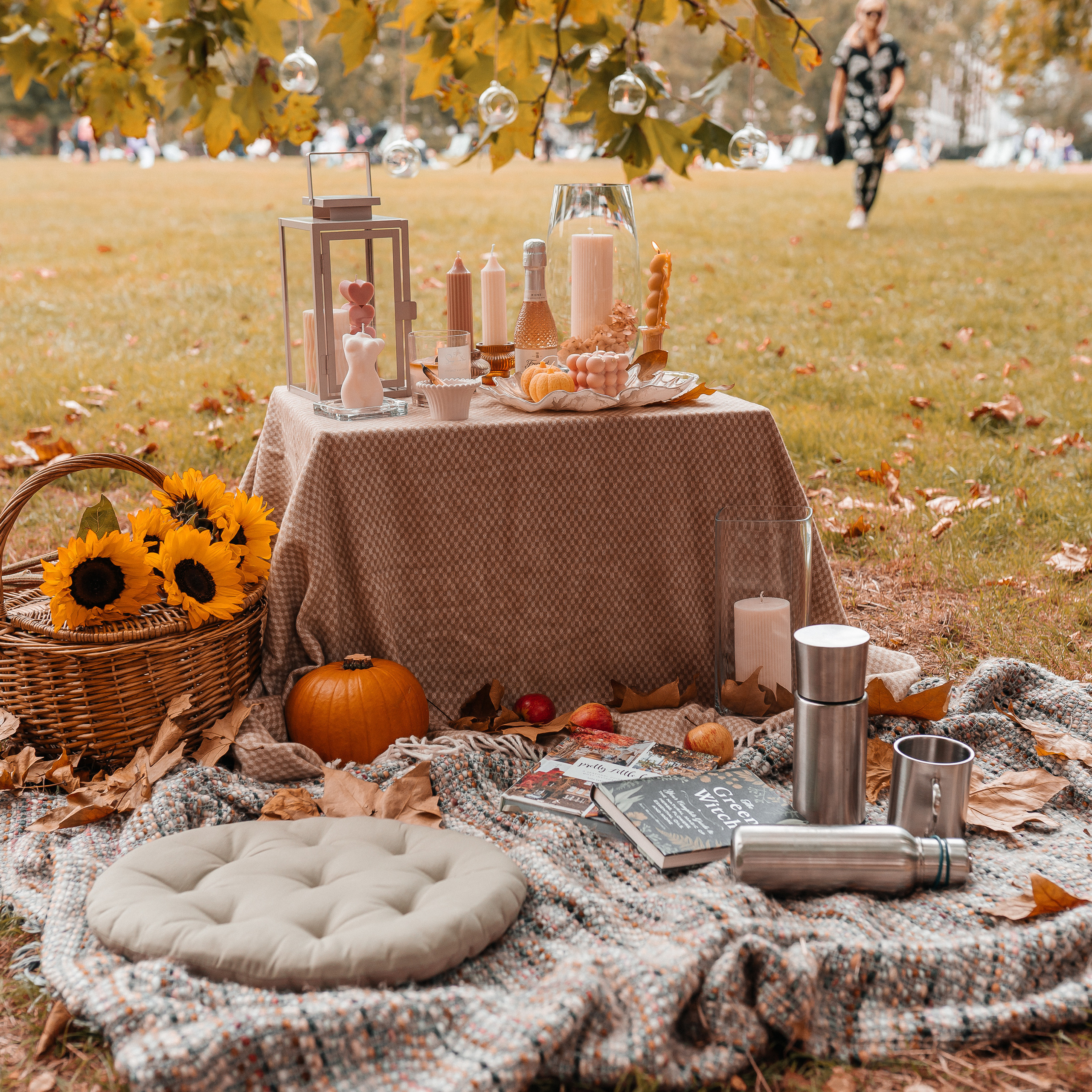 Reviews of the work of photographer Ekaterina Romanova. Photographer in England Ekaterina Romanova