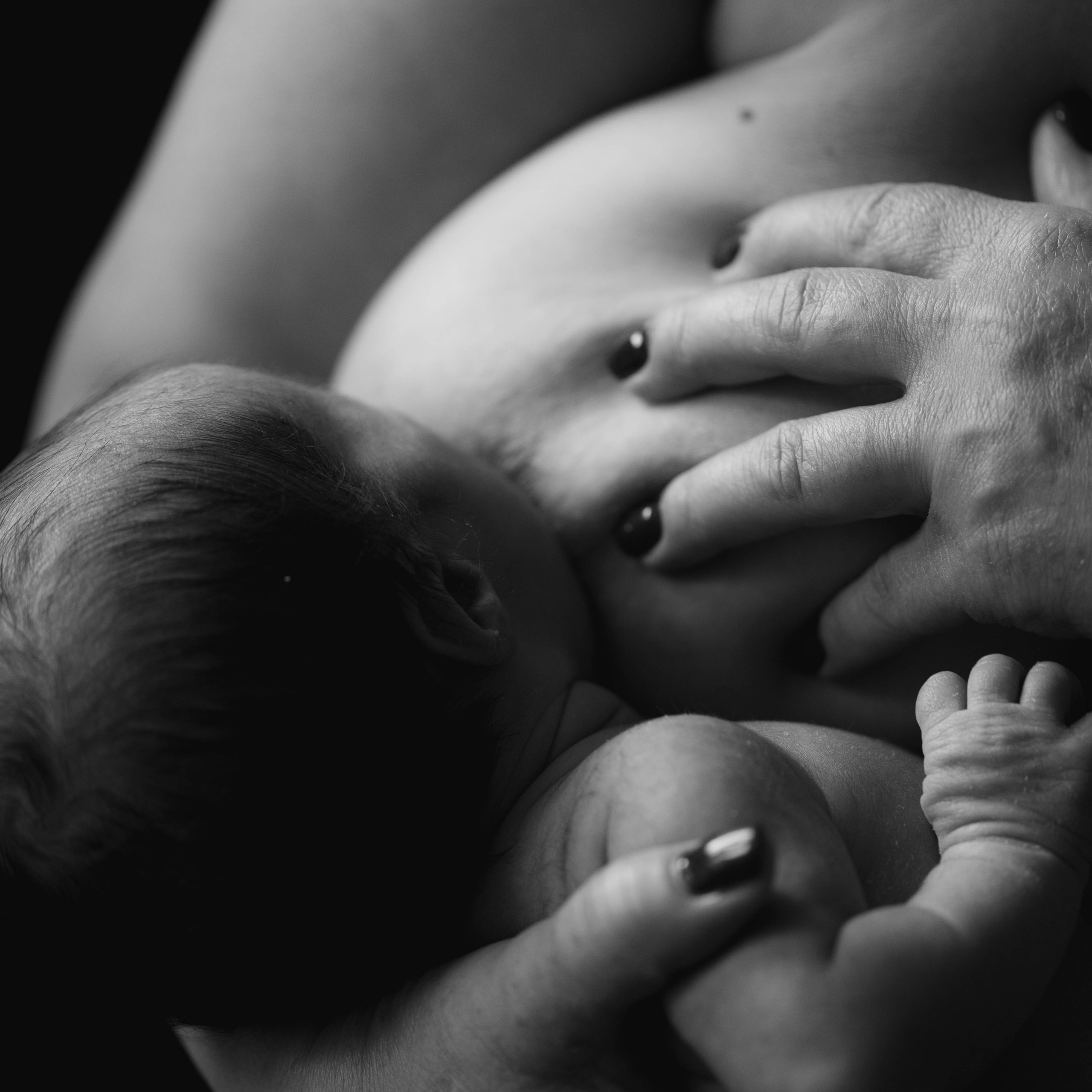 Referenzen. Liudmila Kniss