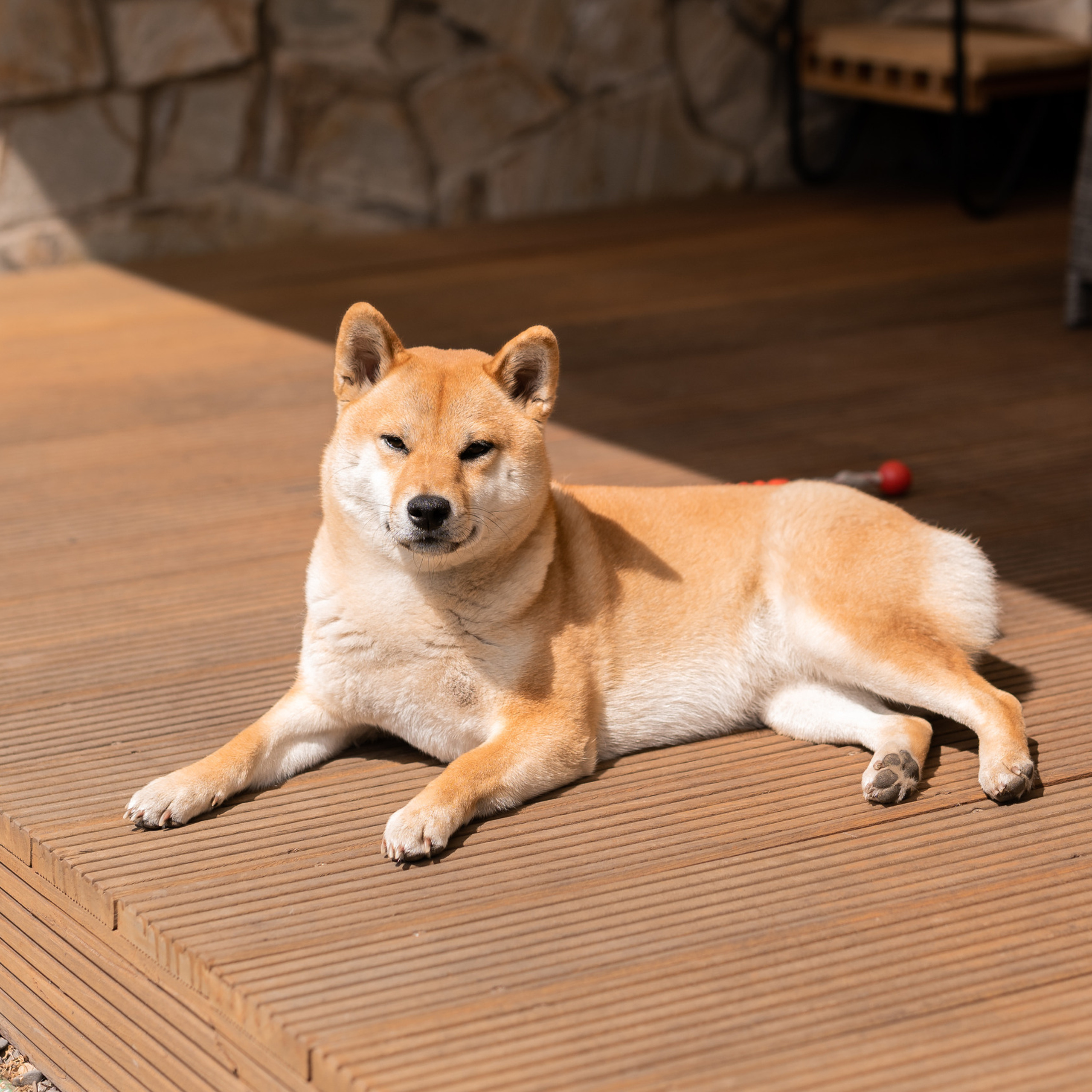 Bewertungen. Annasych.com