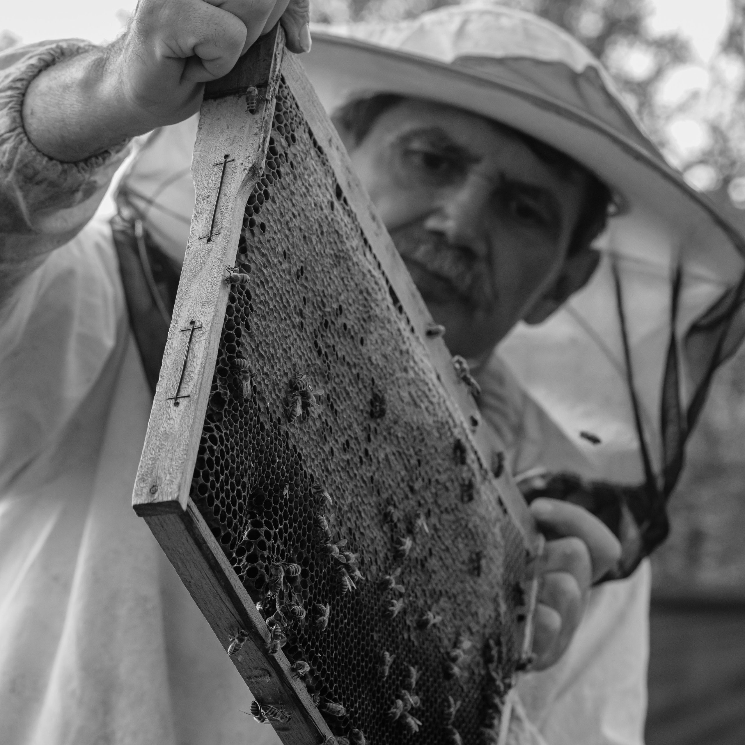 Отзывы клиентов. Fotograf și Videograf | Chișinău, Moldova