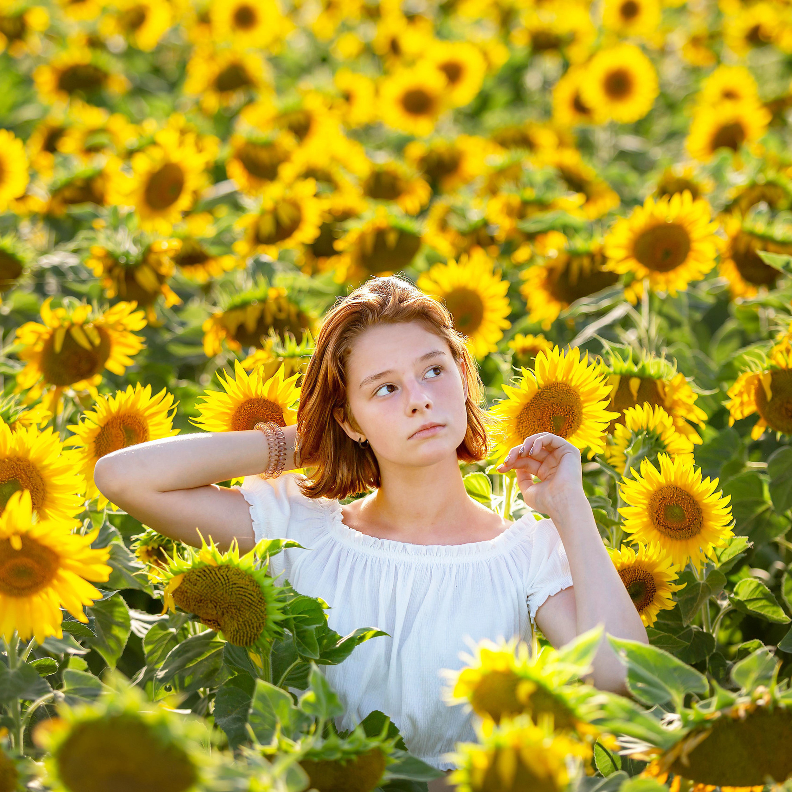 Сдънчеглед