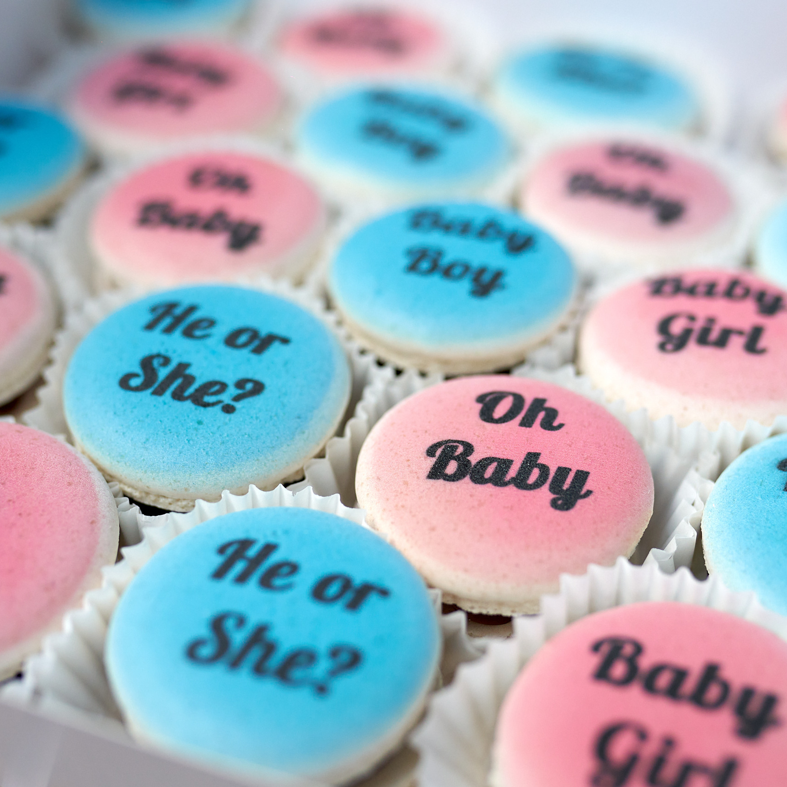 Отзывы. Дмитрий и Каролина Тофан