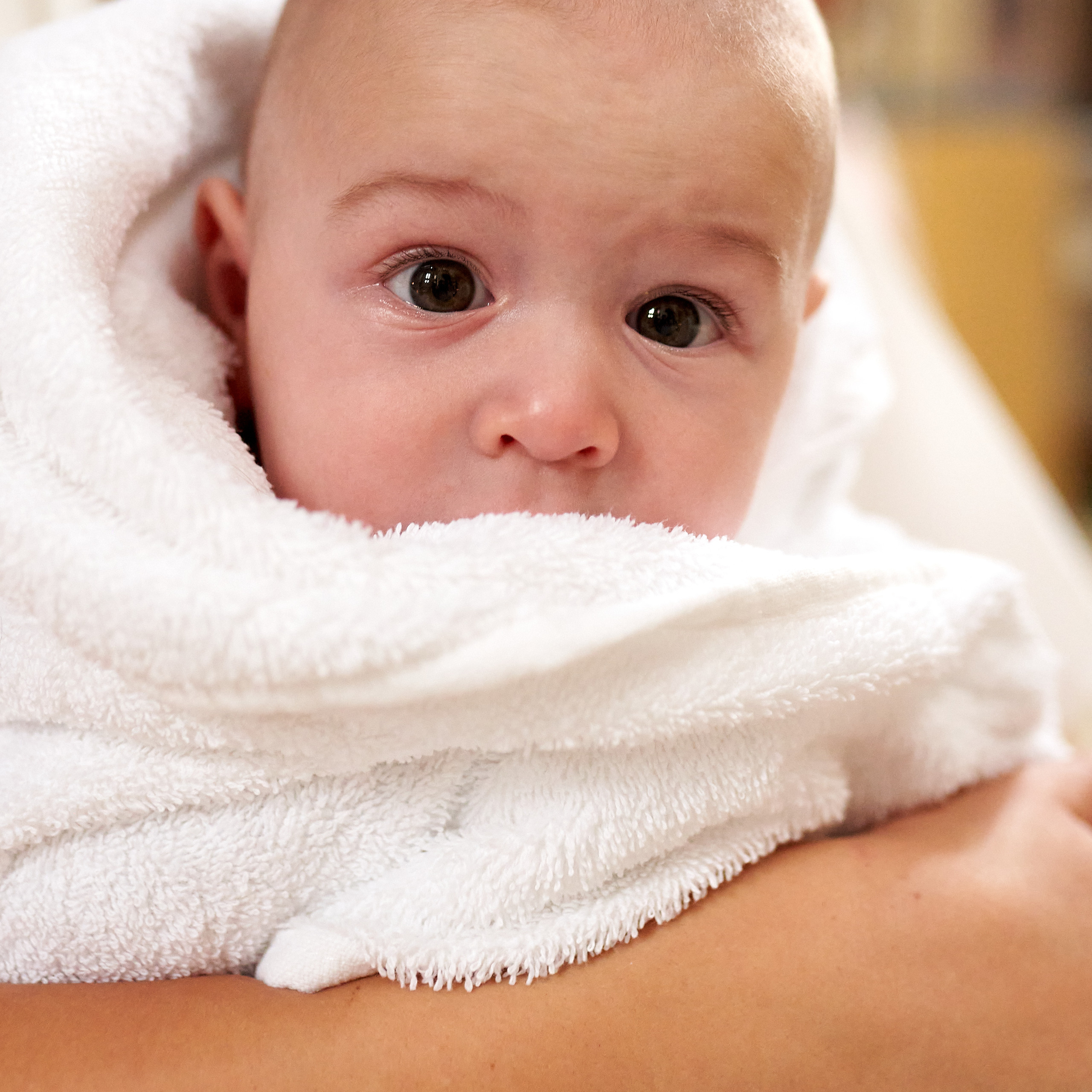 Отзывы. Дмитрий и Каролина Тофан