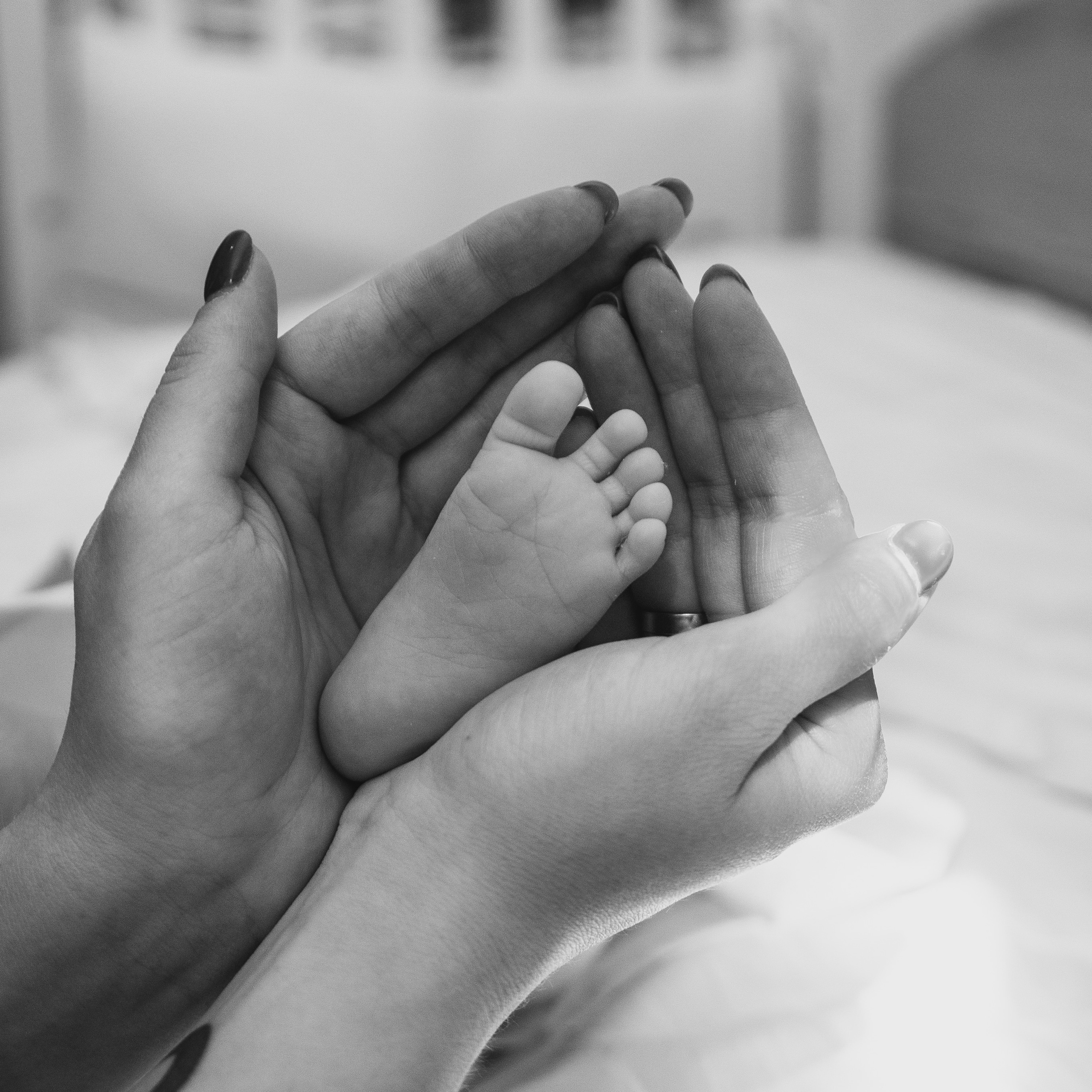 Отзывы. Дмитрий и Каролина Тофан