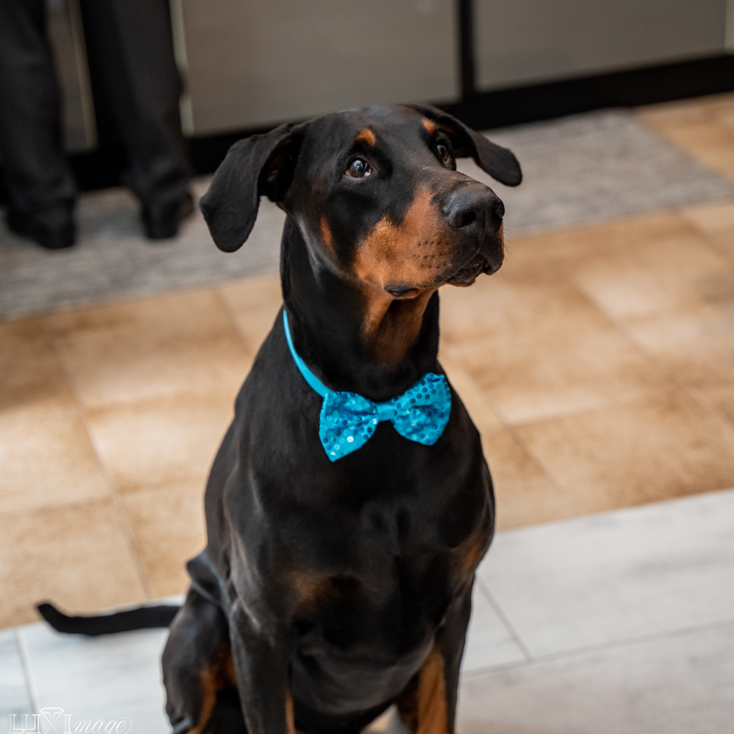 Valentina & Alex. Luximagepro.com