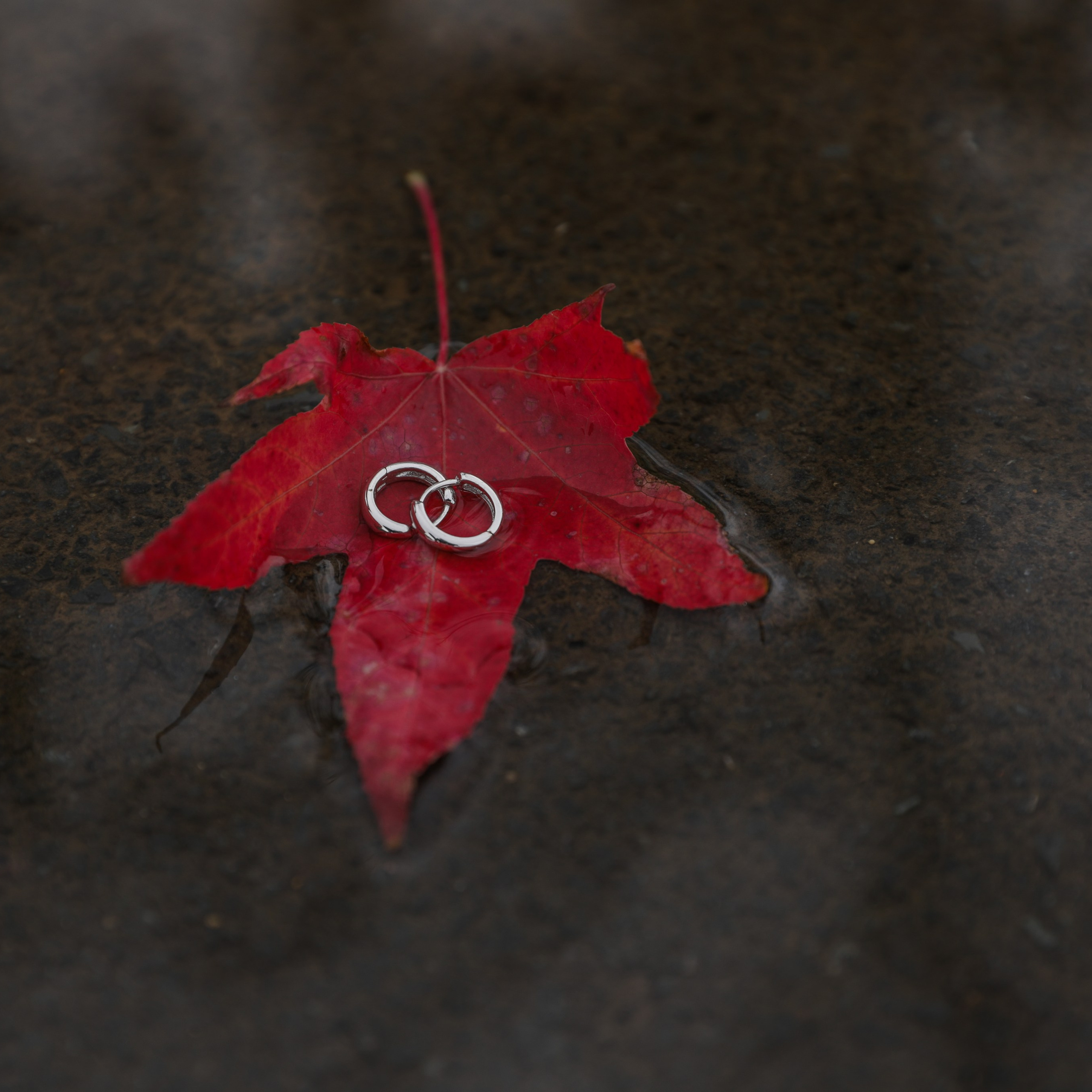 Photography. Lifestyle & Documentary Photography in Bristol, Bath & London — def0cused