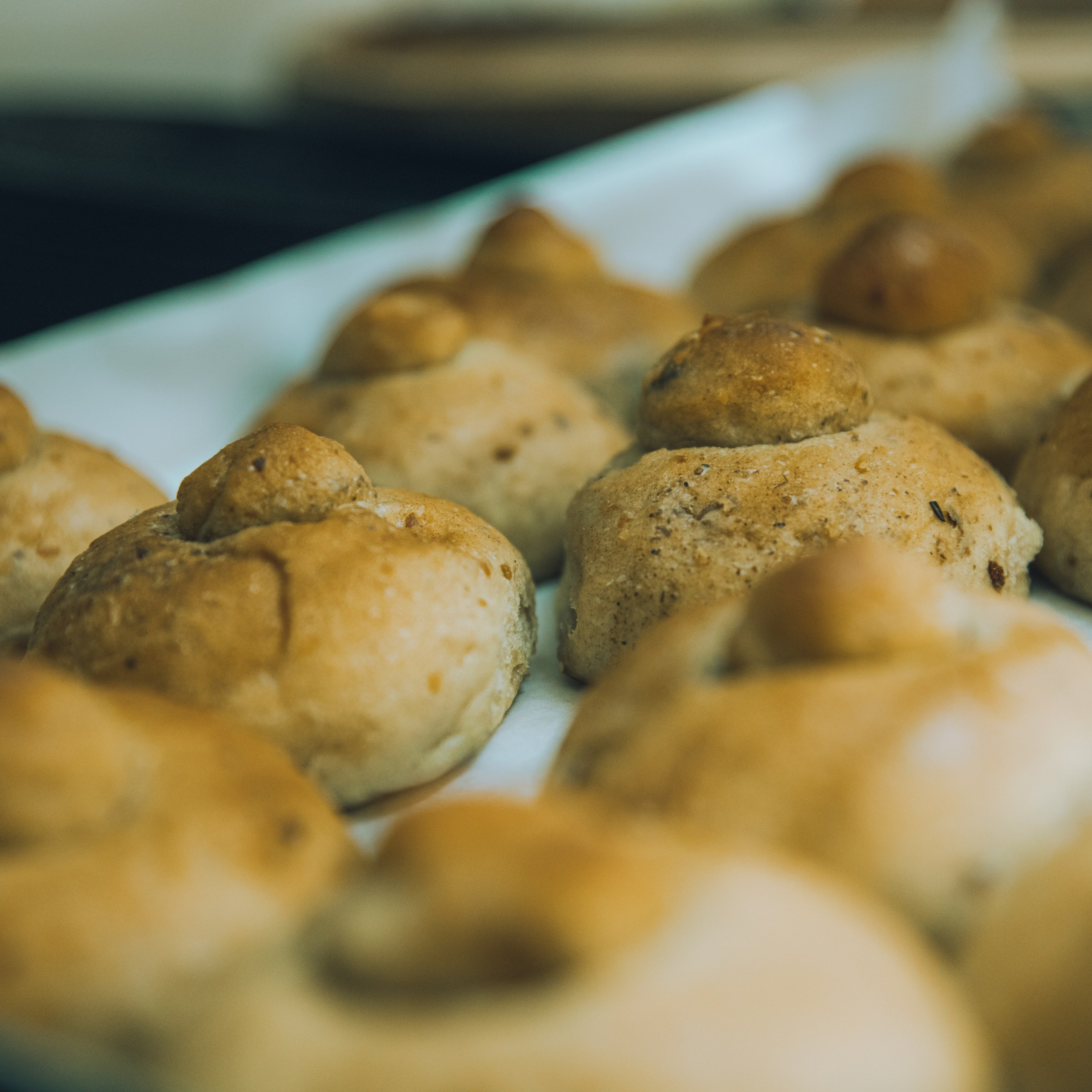 Photography. Lifestyle & Documentary Photography in Bristol, Bath & London — def0cused