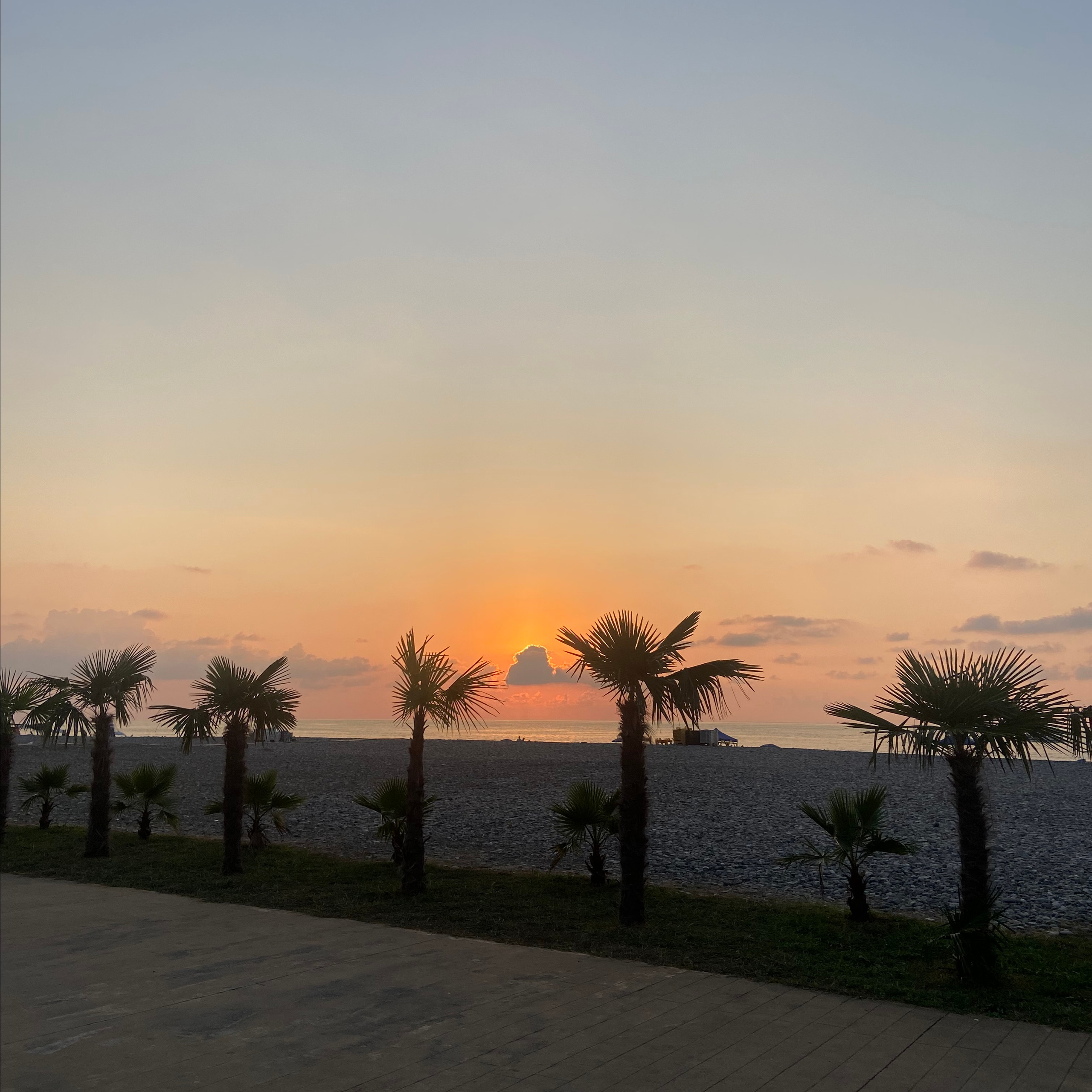 Отзывы. Свадебный и портретный фотограф в Белграде Екатерина Македонская