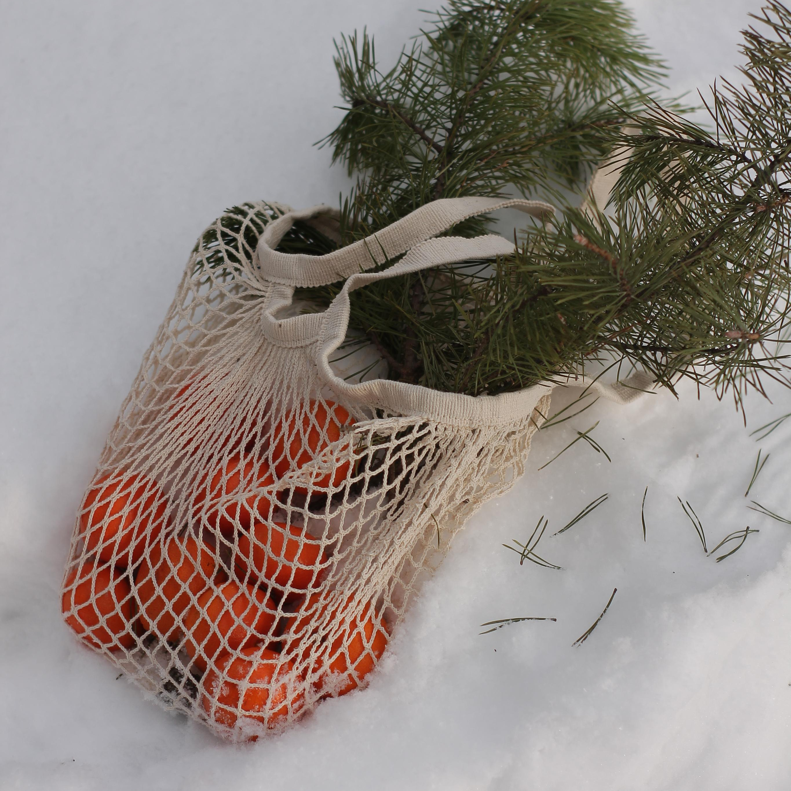 Отзывы. Свадебный и портретный фотограф в Белграде Екатерина Македонская