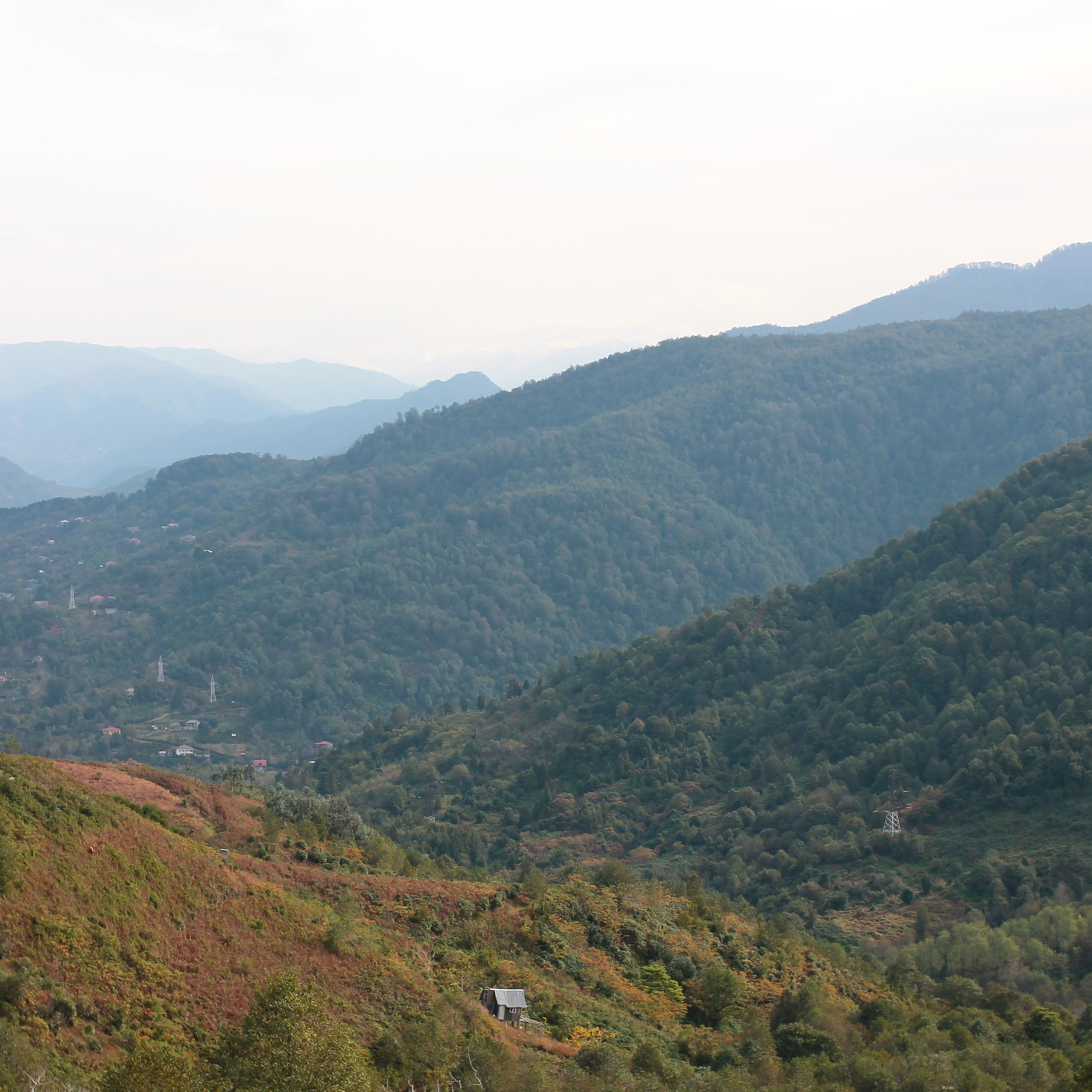 Отзывы. Свадебный и портретный фотограф в Белграде Екатерина Македонская