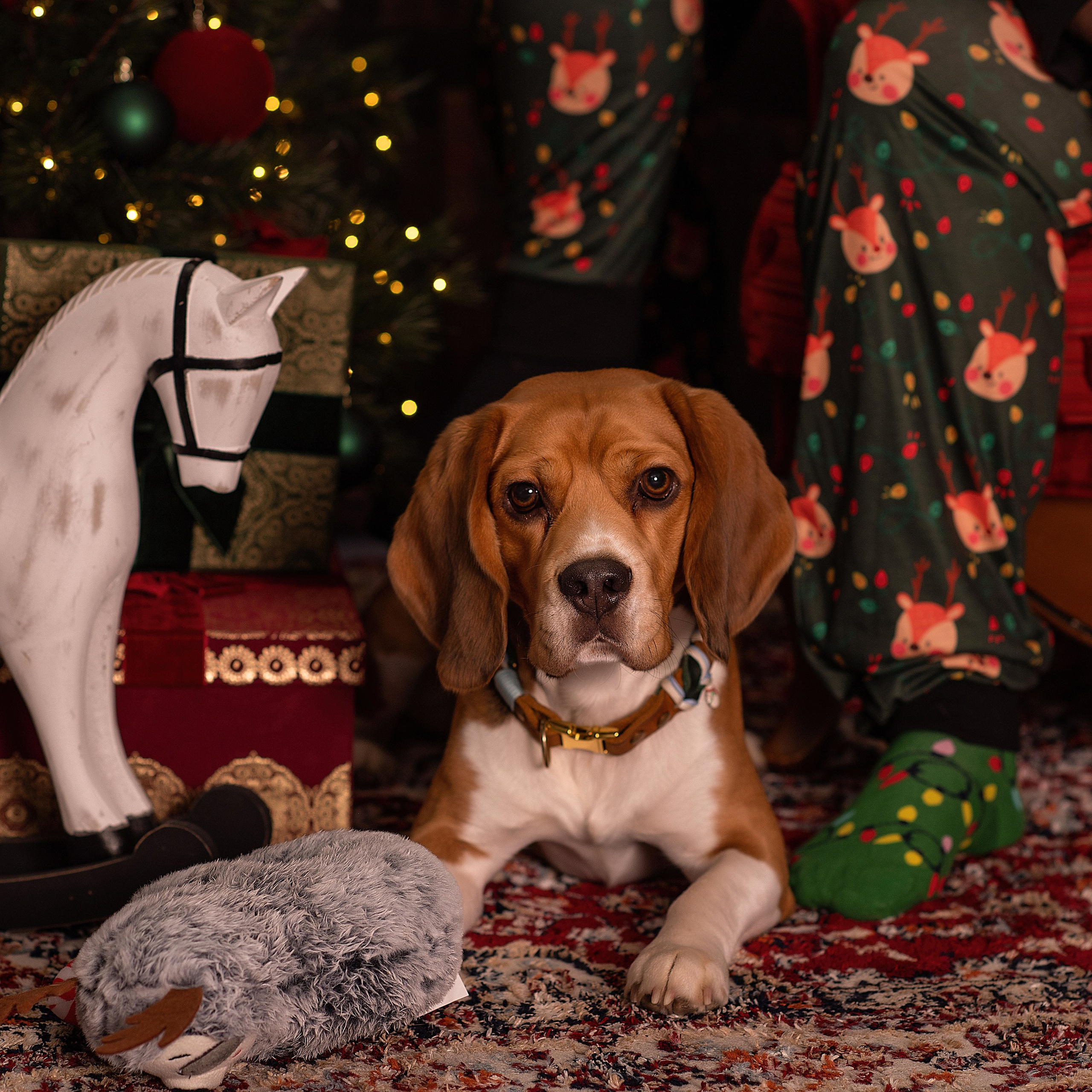 Anastasiafotografie Bewertungen, Photography by anastasia. Newbornfotograf Kinderfotograf Ulm Familienfotograf Anastasia Neu-Ulm