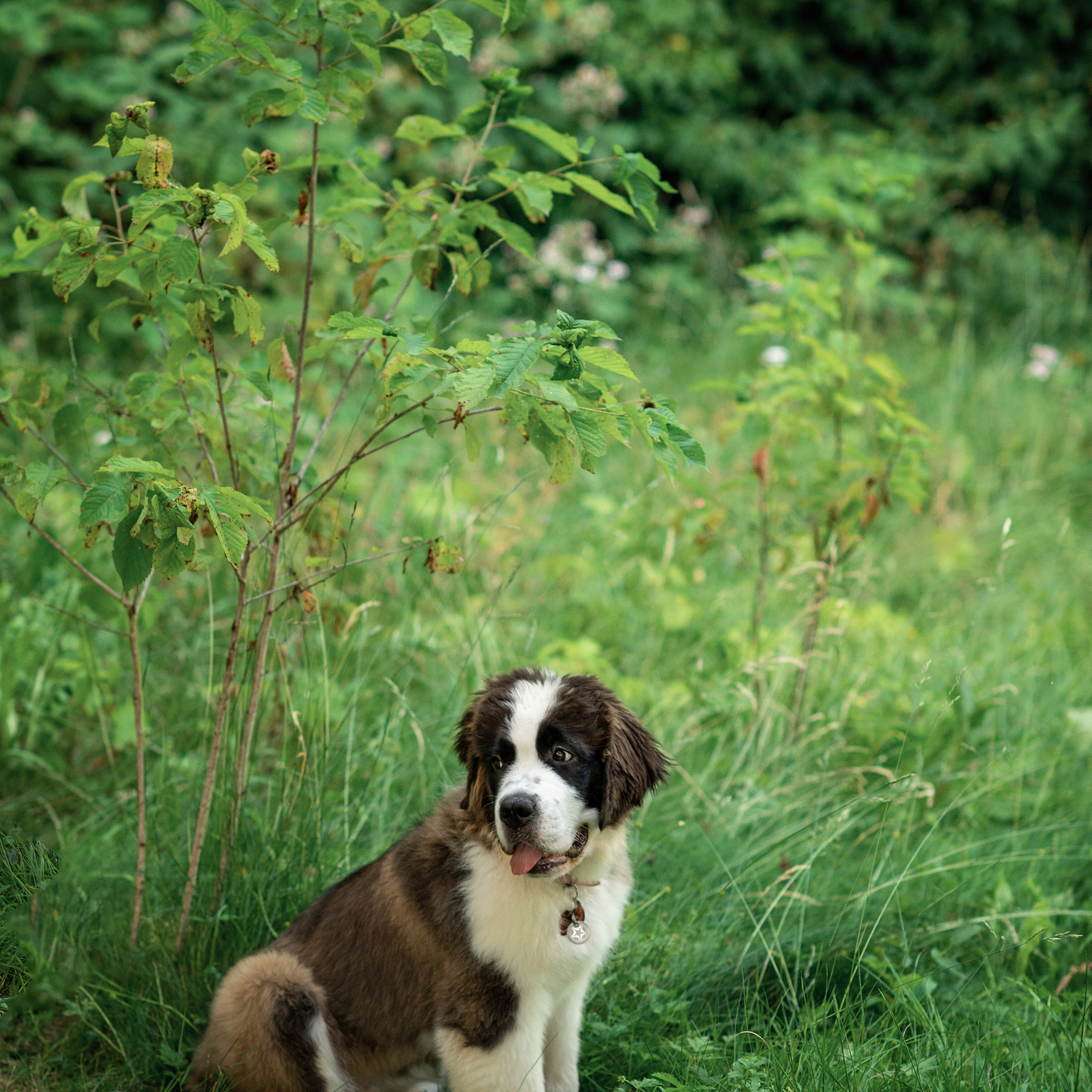 Anastasiafotografie Bewertungen, Photography by anastasia. Newbornfotograf Kinderfotograf Ulm Familienfotograf Anastasia Neu-Ulm